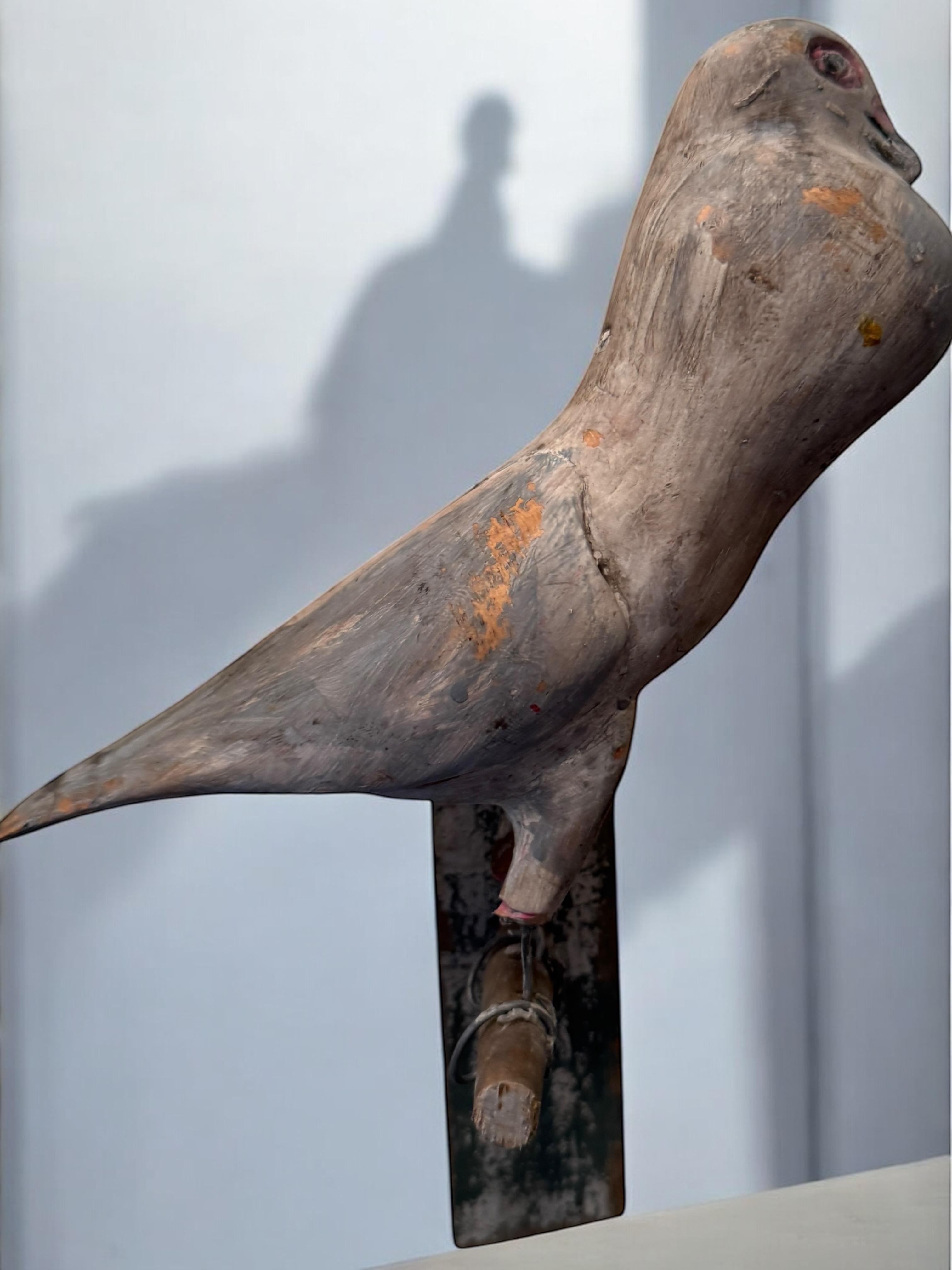 Dove Pigeon Viechtauer Hand Carved Wood Bird Black Forest Folk Art, Austria 1900 For Sale 4