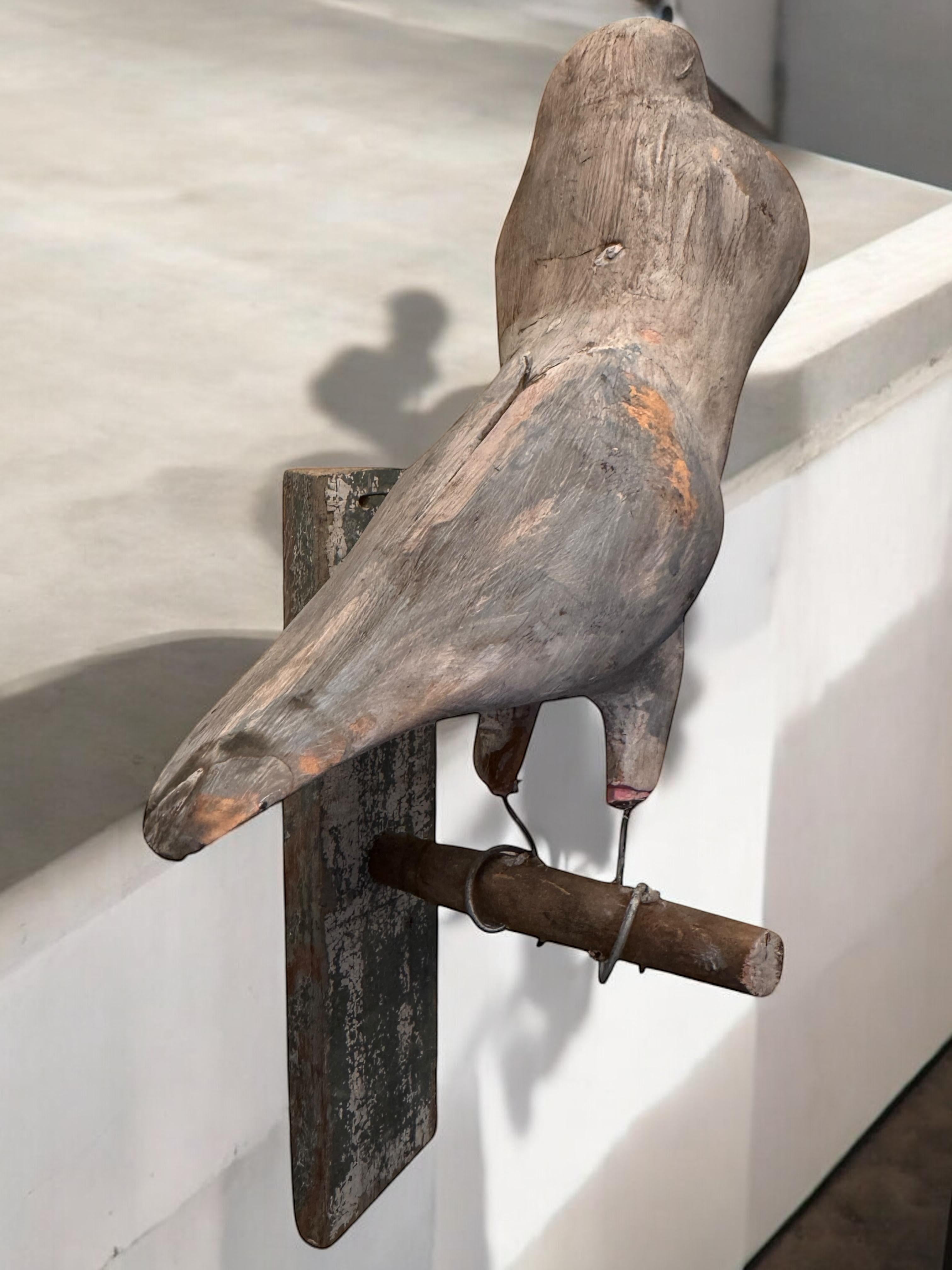 Dove Pigeon Viechtauer Hand Carved Wood Bird Black Forest Folk Art, Austria 1900 For Sale 5
