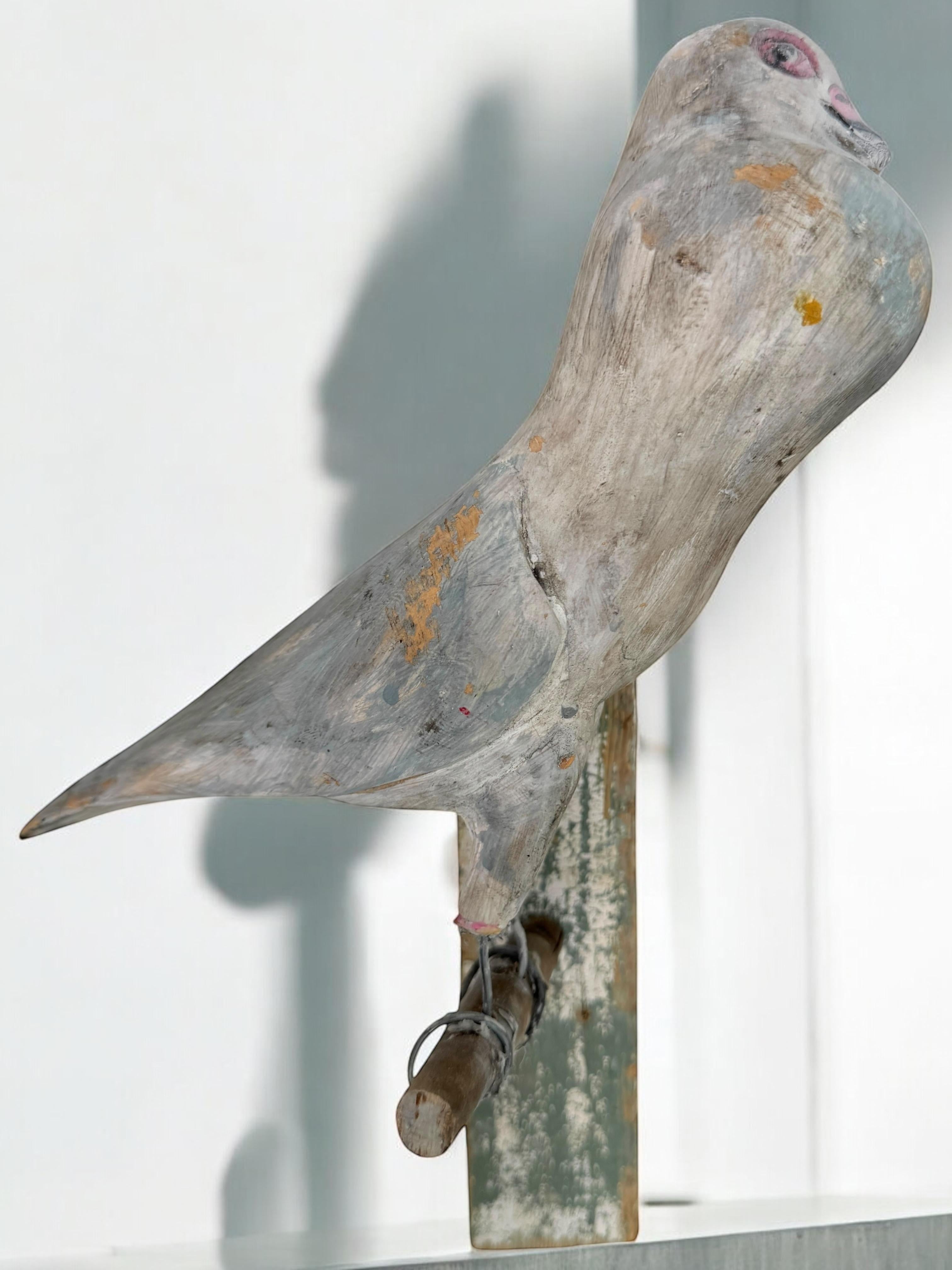 Dove Pigeon Viechtauer Hand Carved Wood Bird Black Forest Folk Art, Austria 1900 For Sale 9