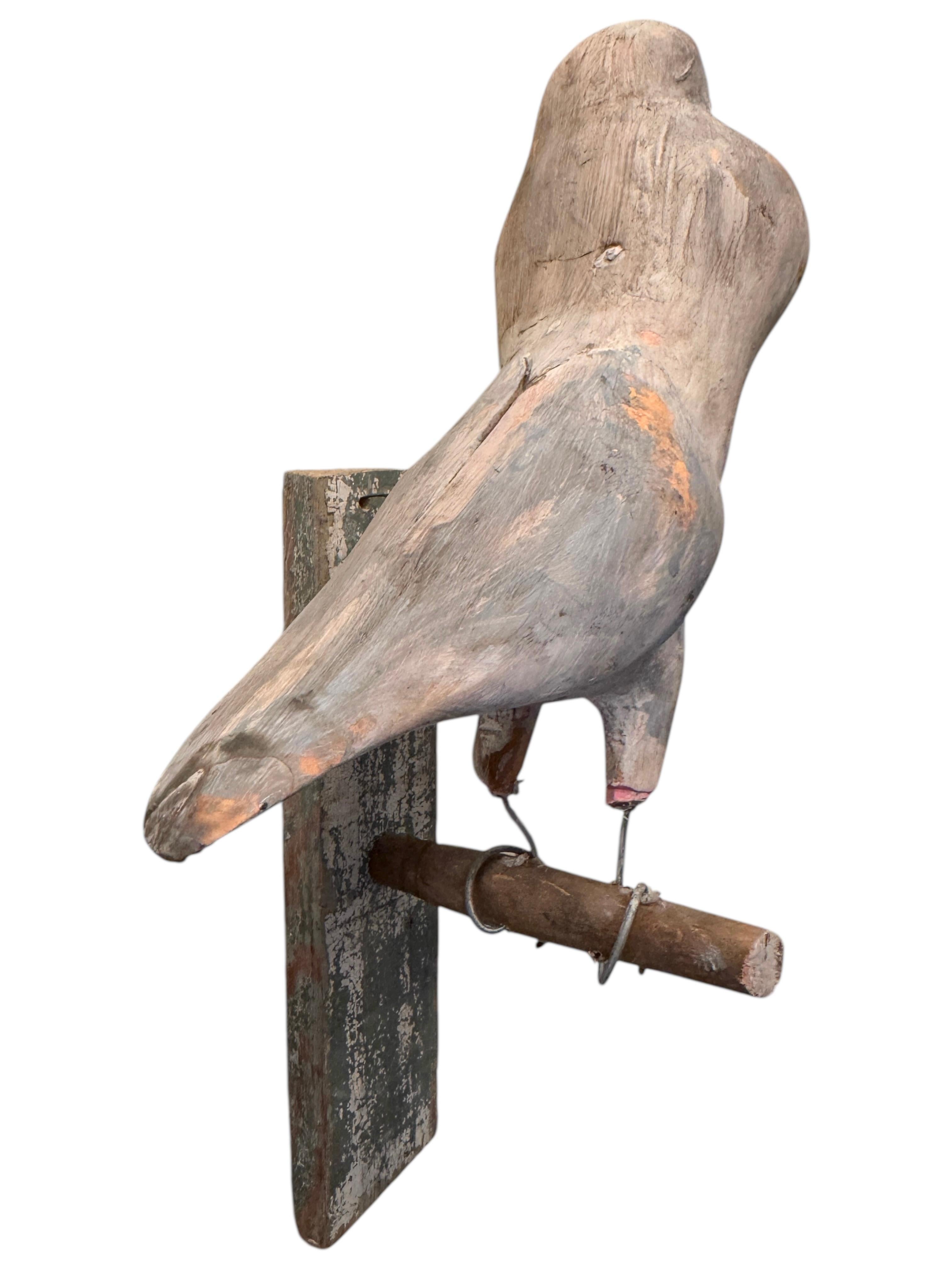 Hand-Carved Dove Pigeon Viechtauer Hand Carved Wood Bird Black Forest Folk Art, Austria 1900 For Sale