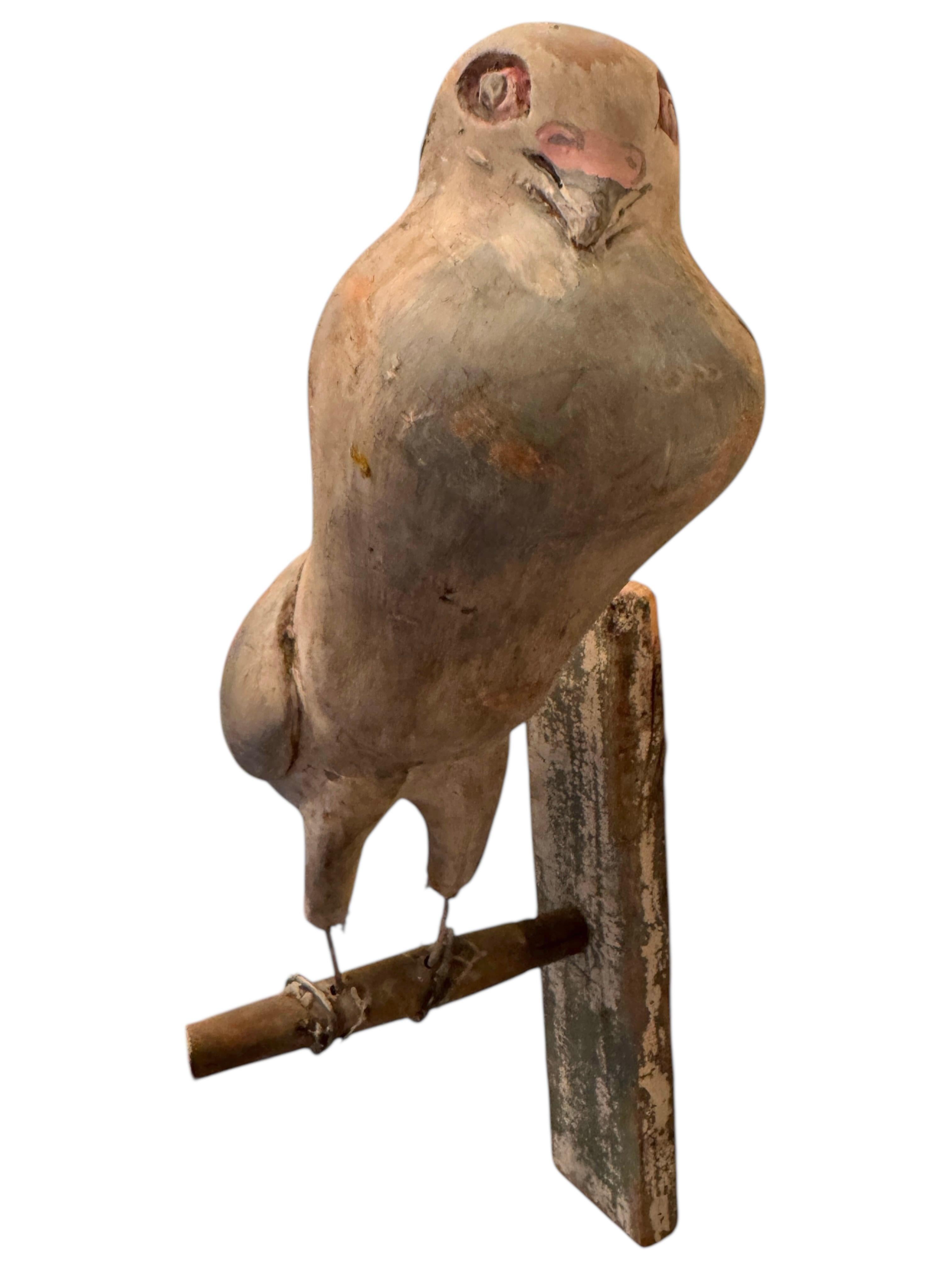 Dove Pigeon Viechtauer Hand Carved Wood Bird Black Forest Folk Art, Austria 1900 For Sale 1