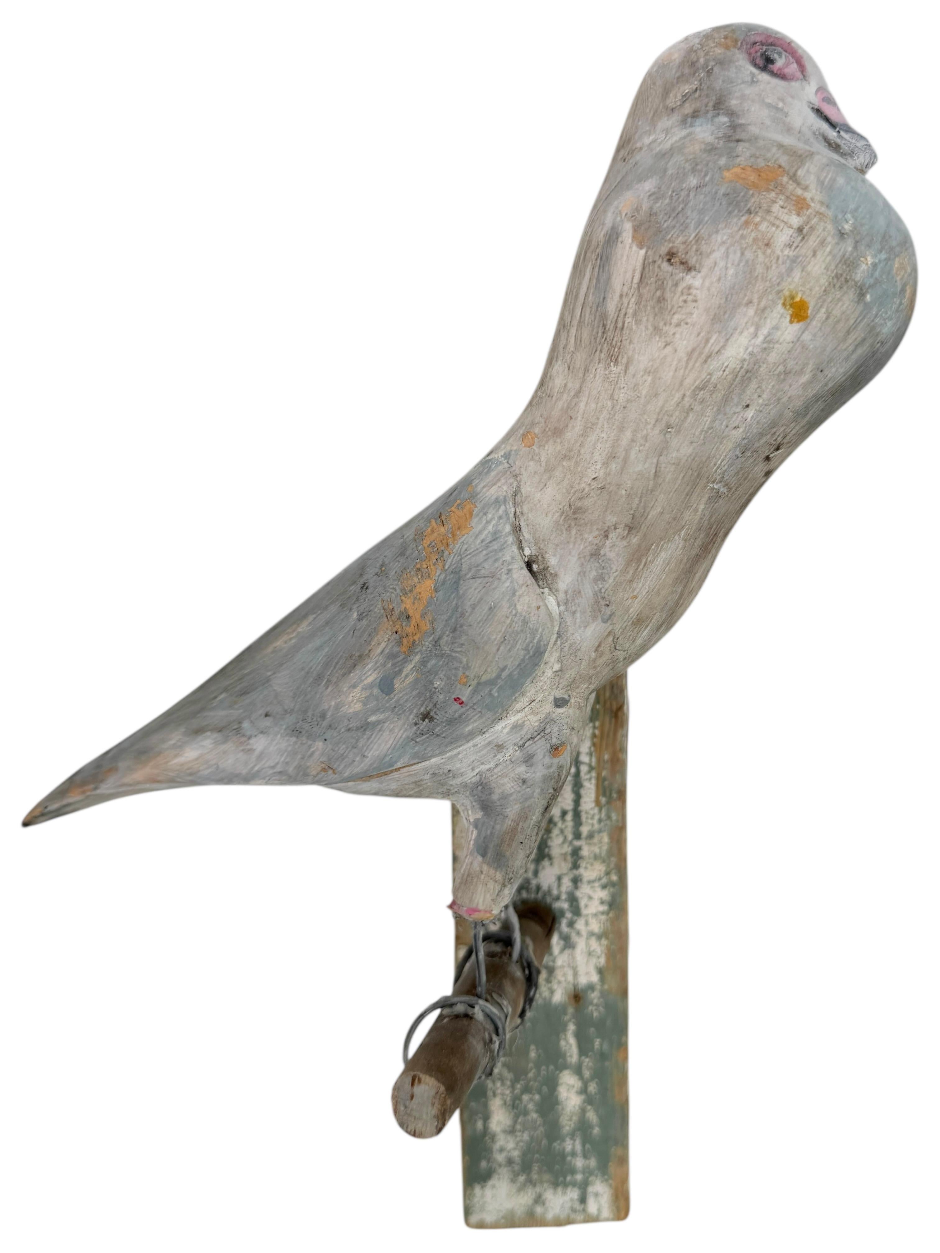 Dove Pigeon Viechtauer Hand Carved Wood Bird Black Forest Folk Art, Austria 1900 For Sale 2