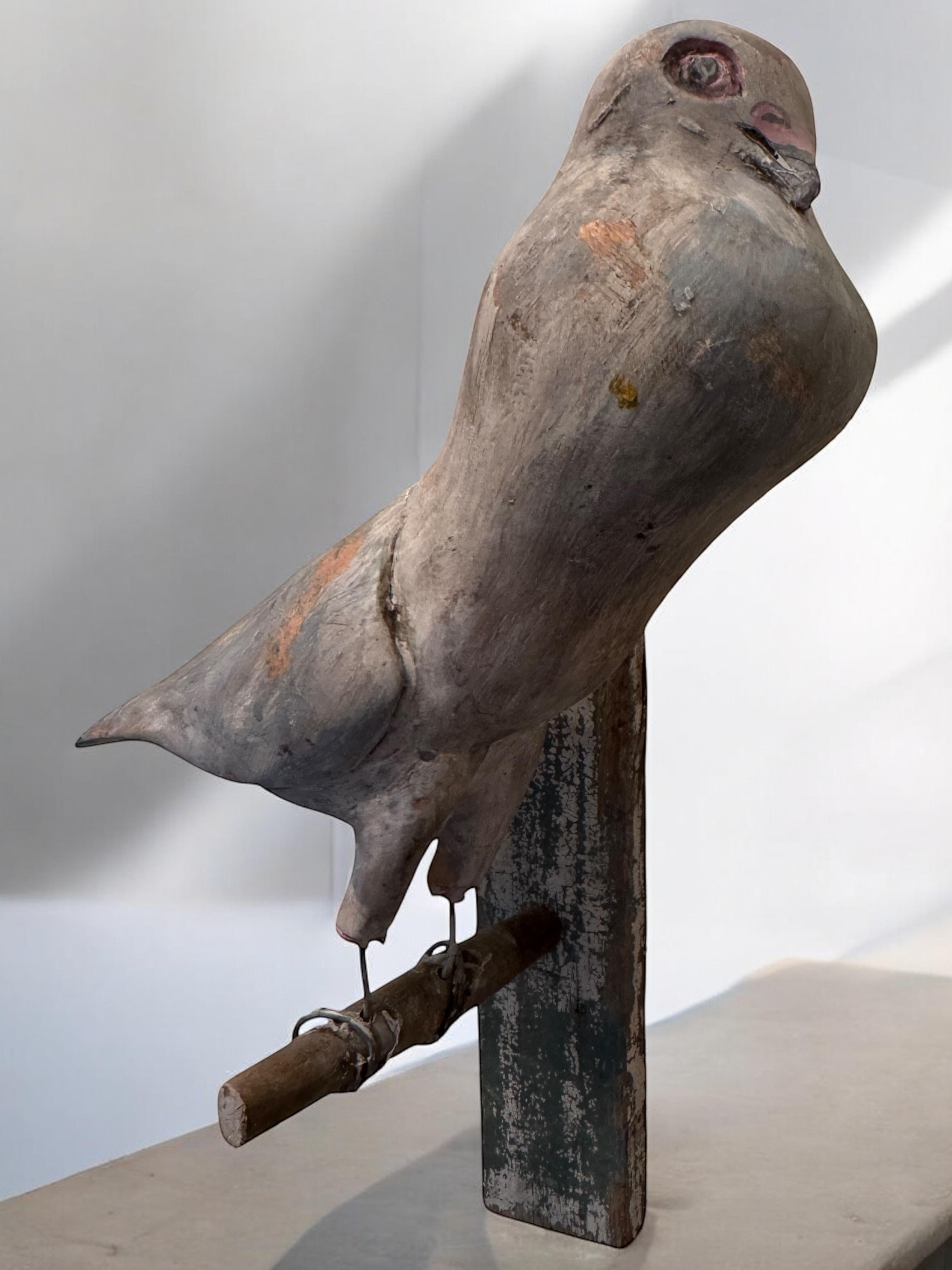 Dove Pigeon Viechtauer Hand Carved Wood Bird Black Forest Folk Art, Austria 1900 For Sale 3