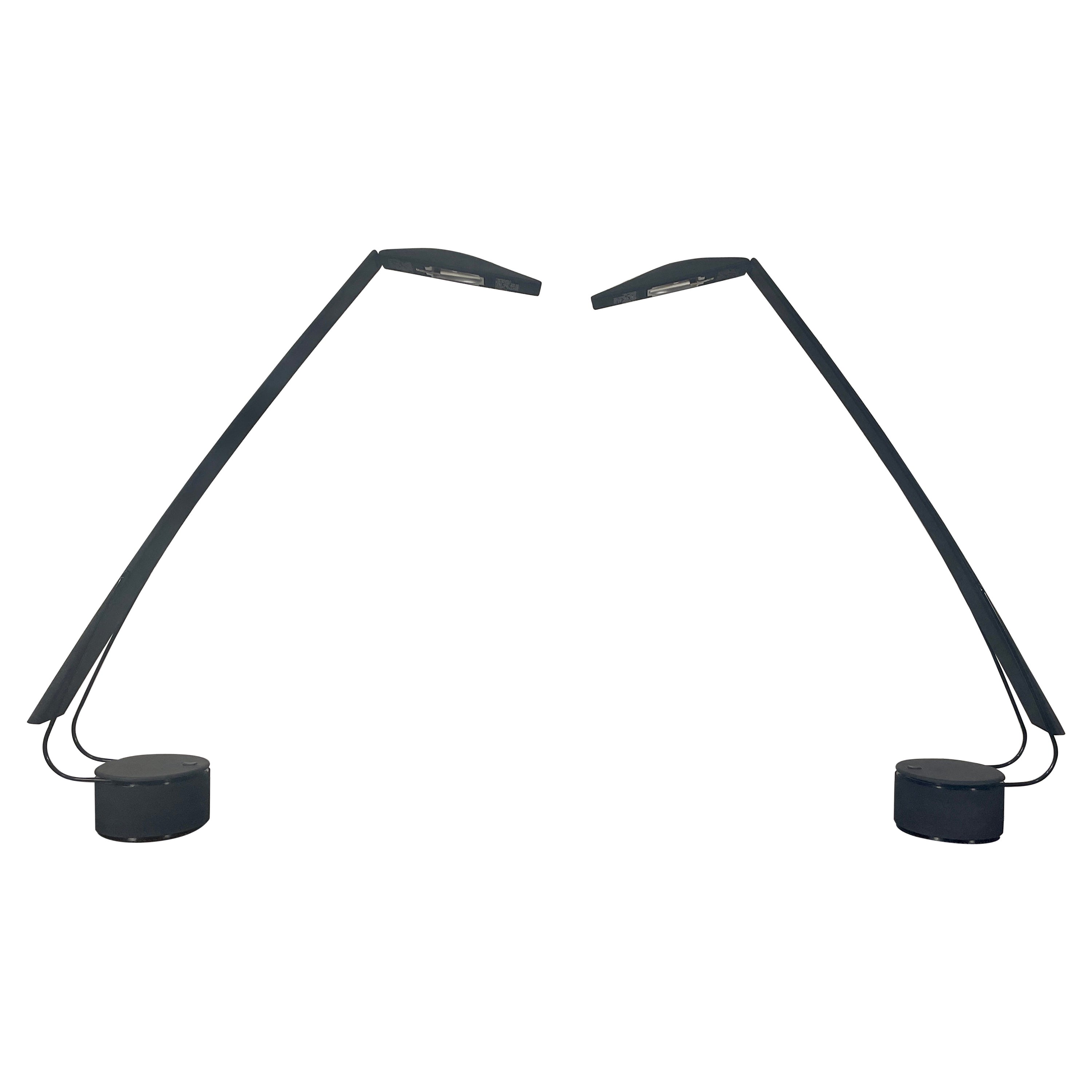 Dove Task Lamps by Mario Barbaglia & Marco Colombo- A Pair