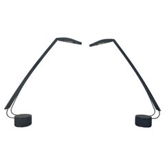 Dove Task Lamps by Mario Barbaglia & Marco Colombo- A Pair