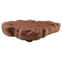 Down to Earth Coffee Table by Odditi