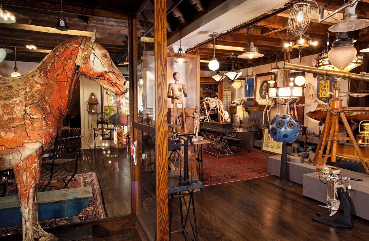 Industrial Dr. Auzoux’s Historic Full Sized Horse Model For Sale