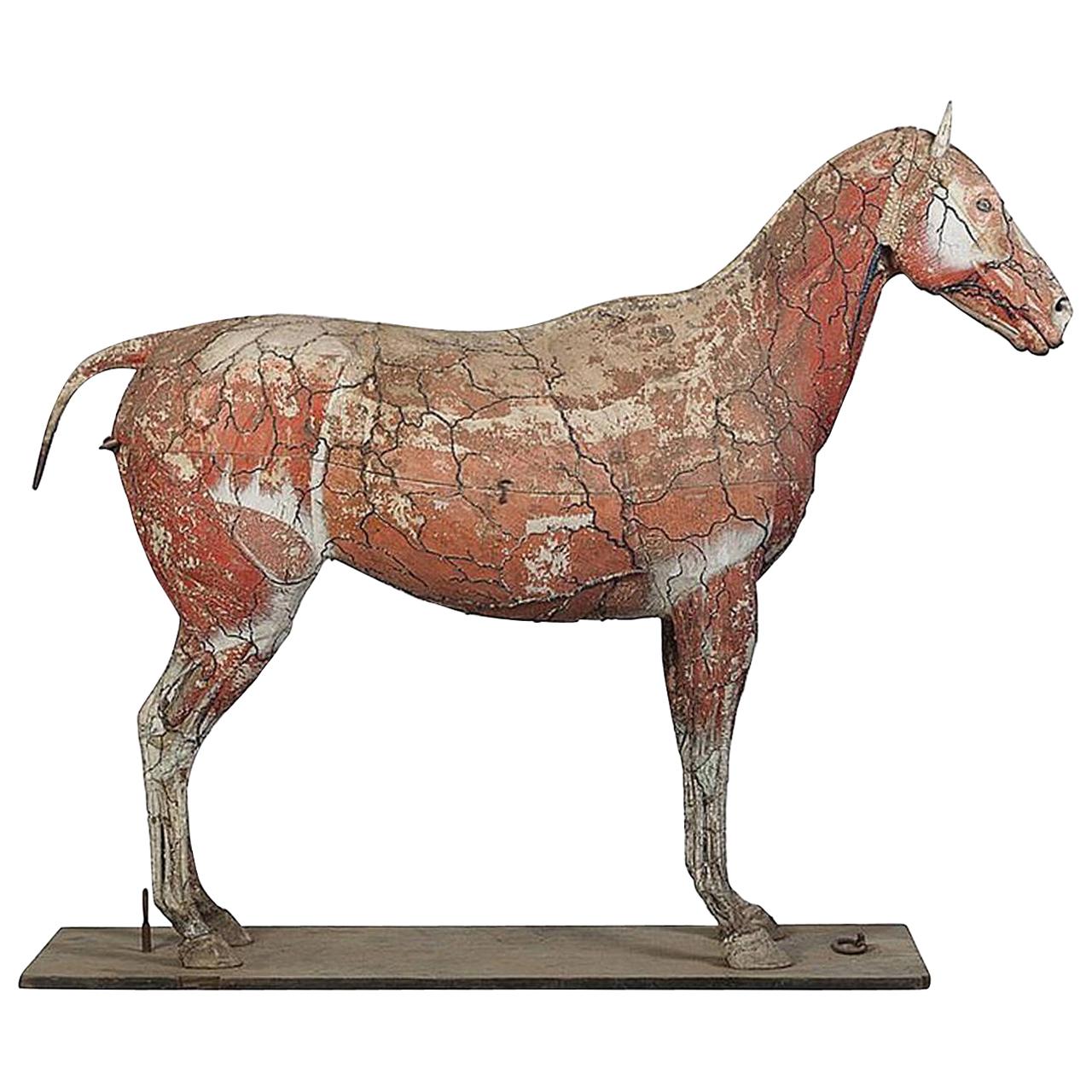 Dr. Auzoux’s Historic Full Sized Horse Model For Sale
