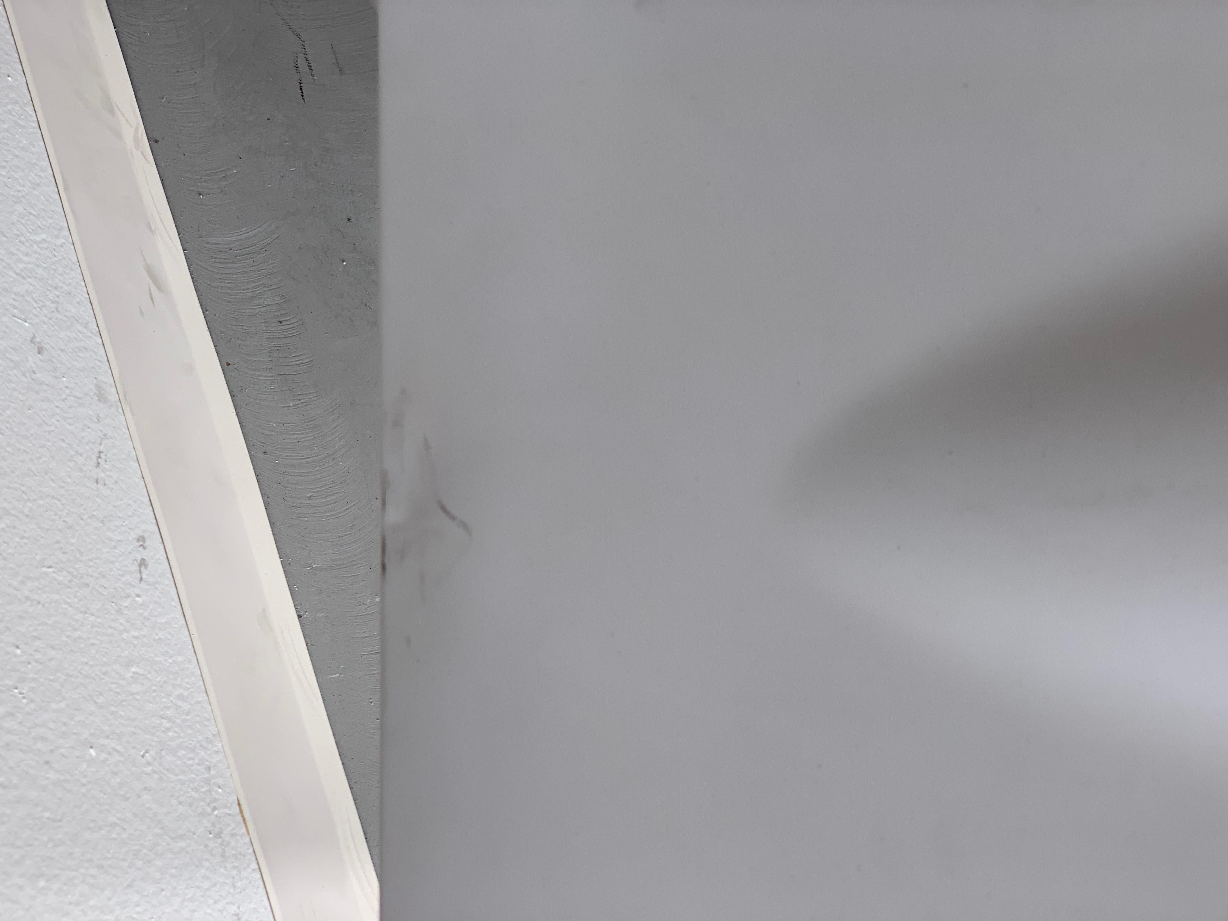 Fin du 20e siècle Chaises Dr. Glob de Philippe Starck pour Kartell en vente