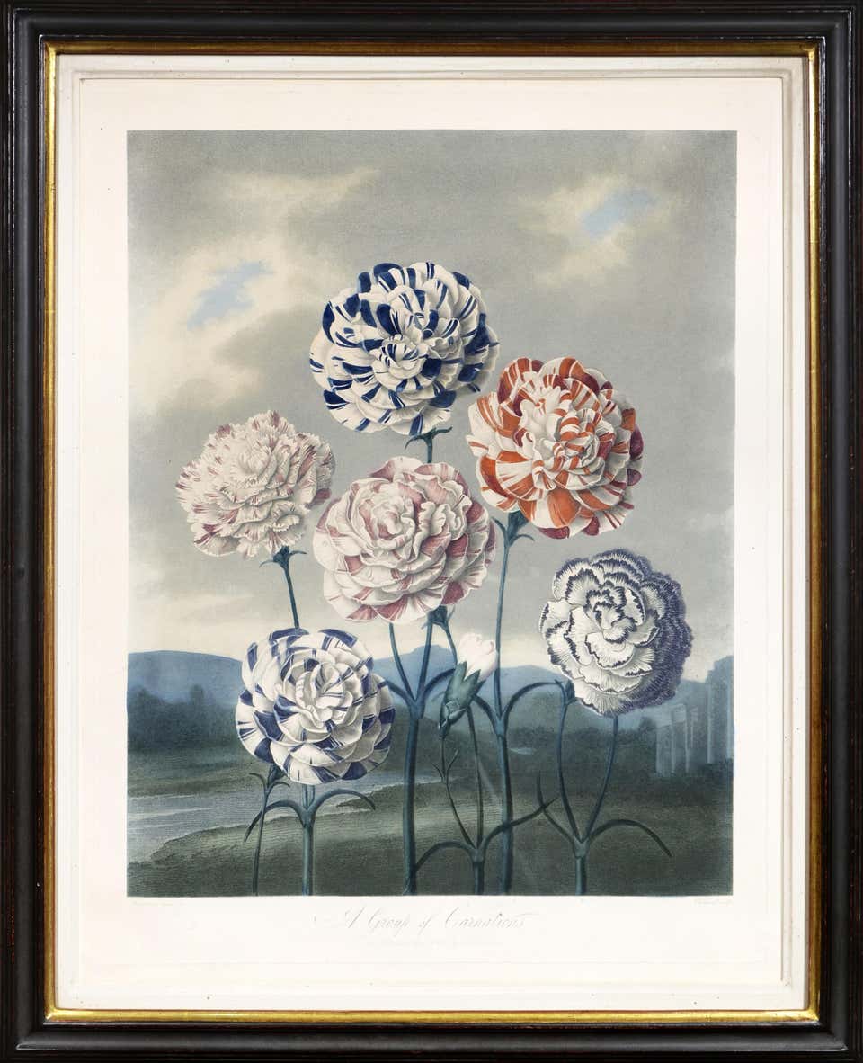 Valentini Works Michael Bernhard Valentini - Snapdragons and Carnation by Michael ...