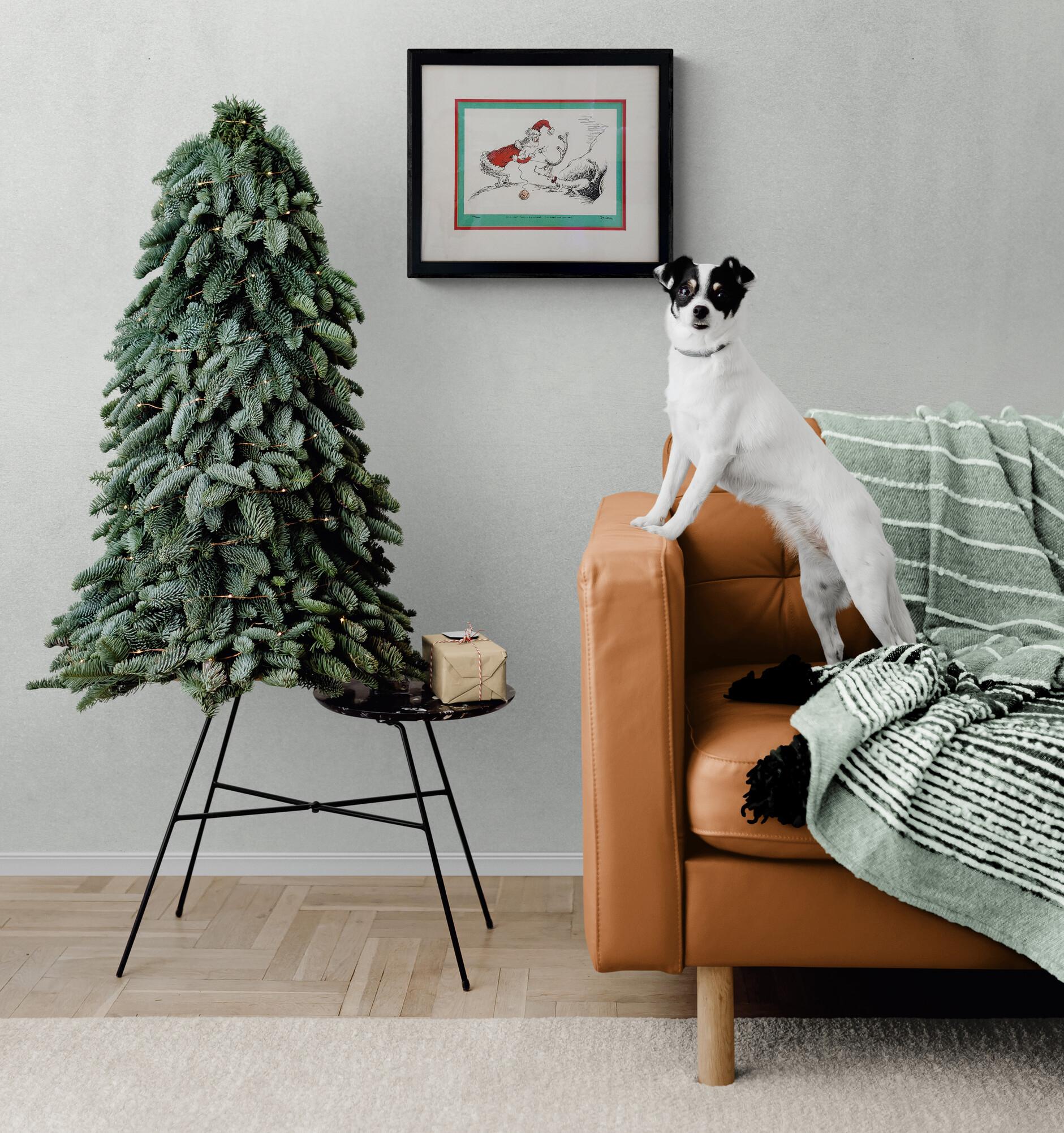 If I can't find a Reindeer, I'll make one instead (Colorful, Iconic, ~21% OFF) - Modern Print by Dr. Seuss (Theodore Geisel)