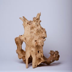 Dragon Mask Natural Wood Sculpture
