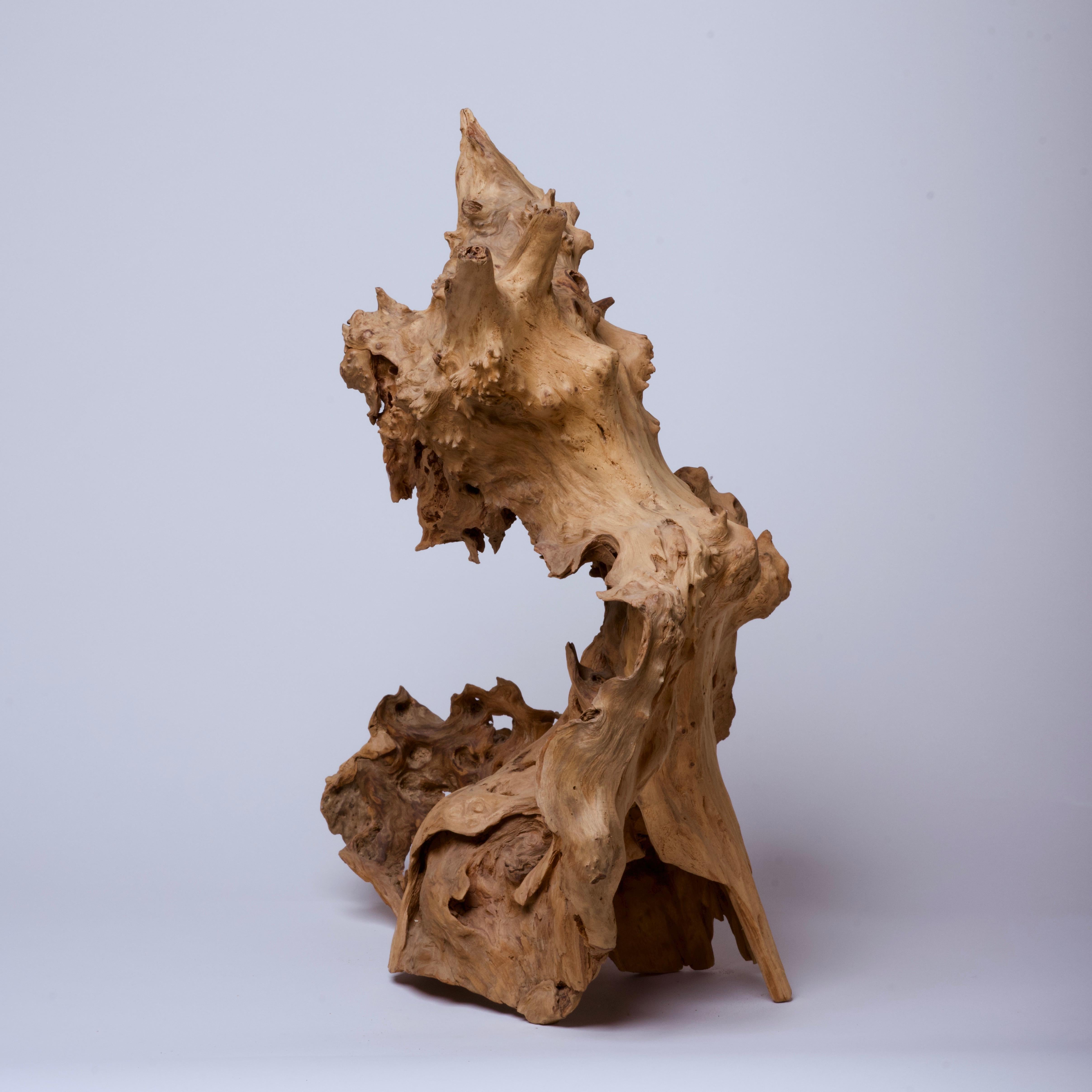 natural wood sculpture for sale