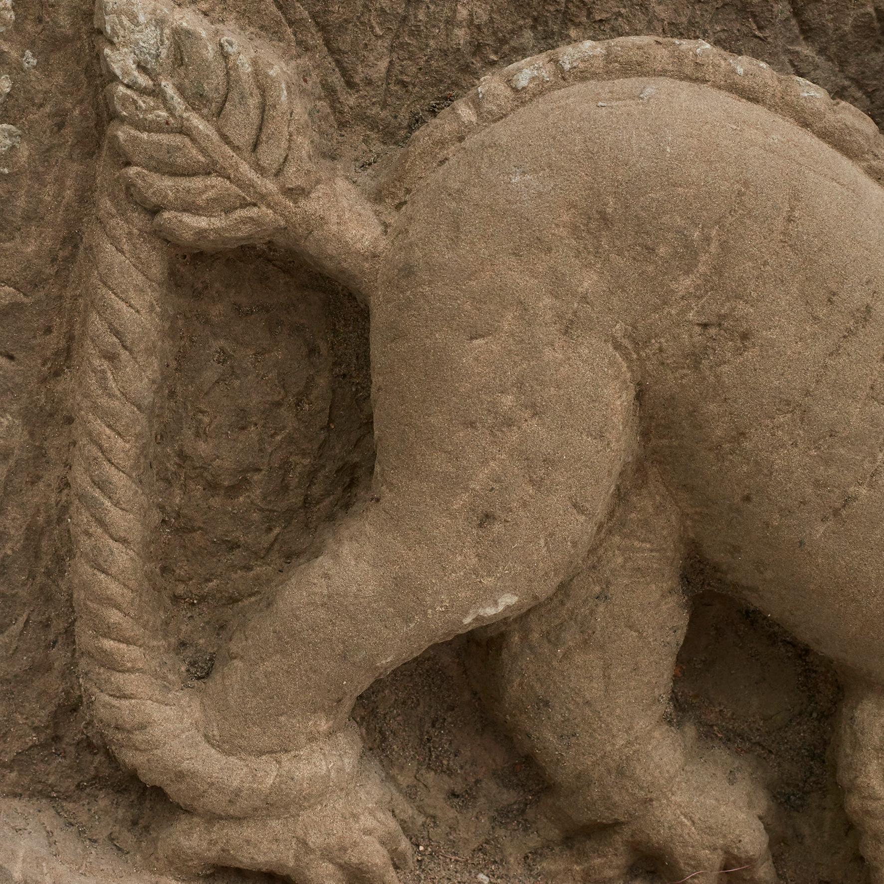 Dragón 