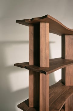 Étagère en forme de dragon de Daniel Nikolovski