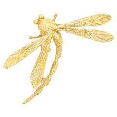 Libelle Brosche massiv 14k Gelbgold