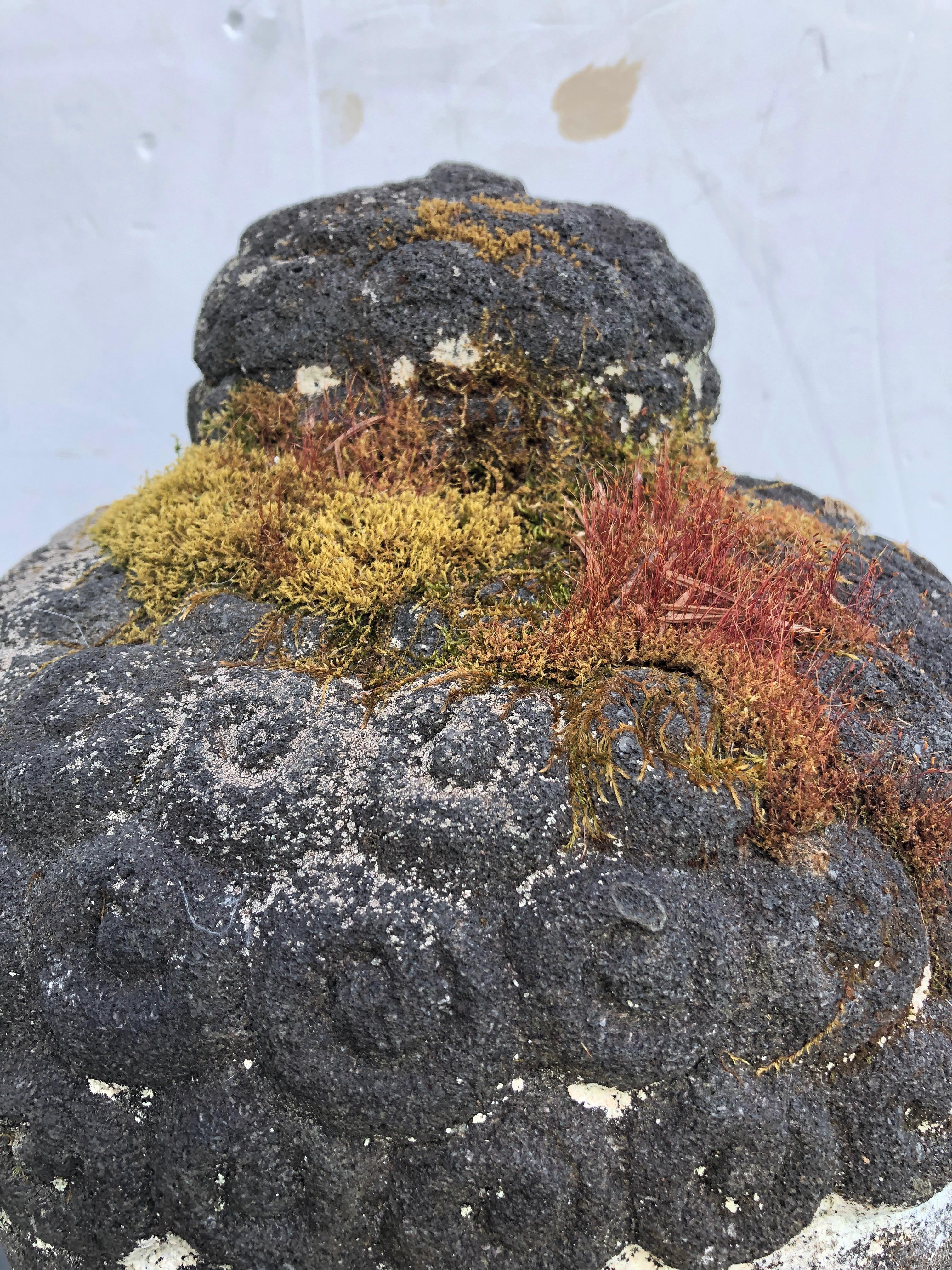 garden buddha head