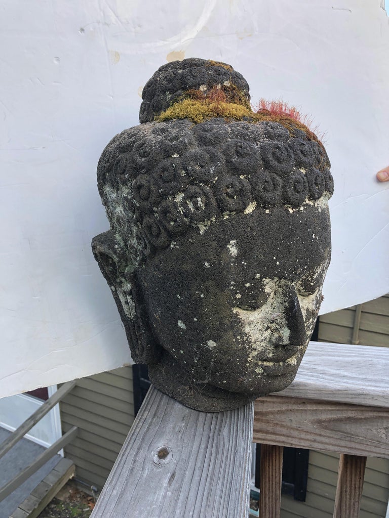 Dramatic Cast Stone Buddha Head Garden Sculpture at 1stDibs