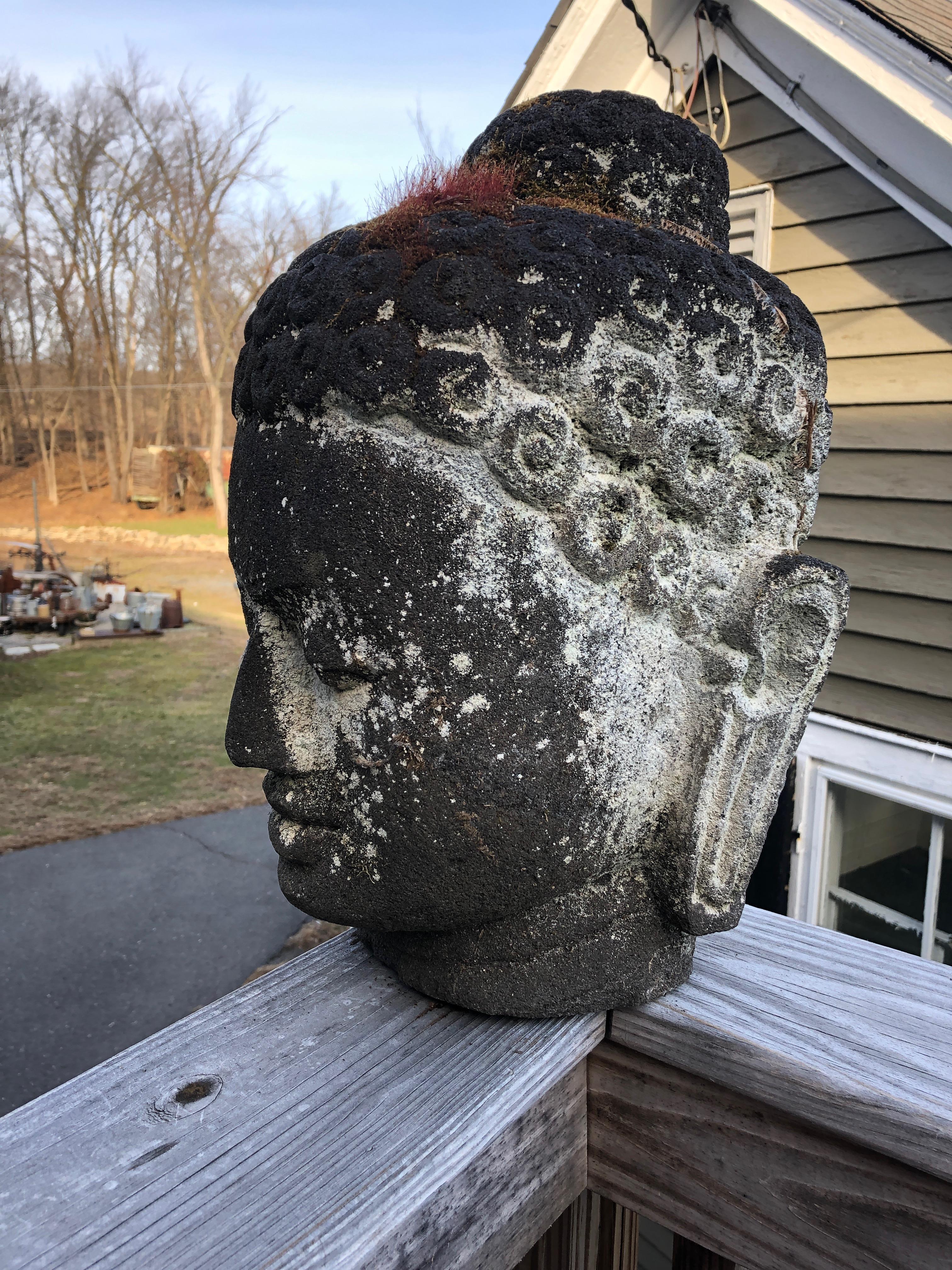 Dramatic Cast Stone Buddha Head Garden Sculpture In Good Condition In Hopewell, NJ