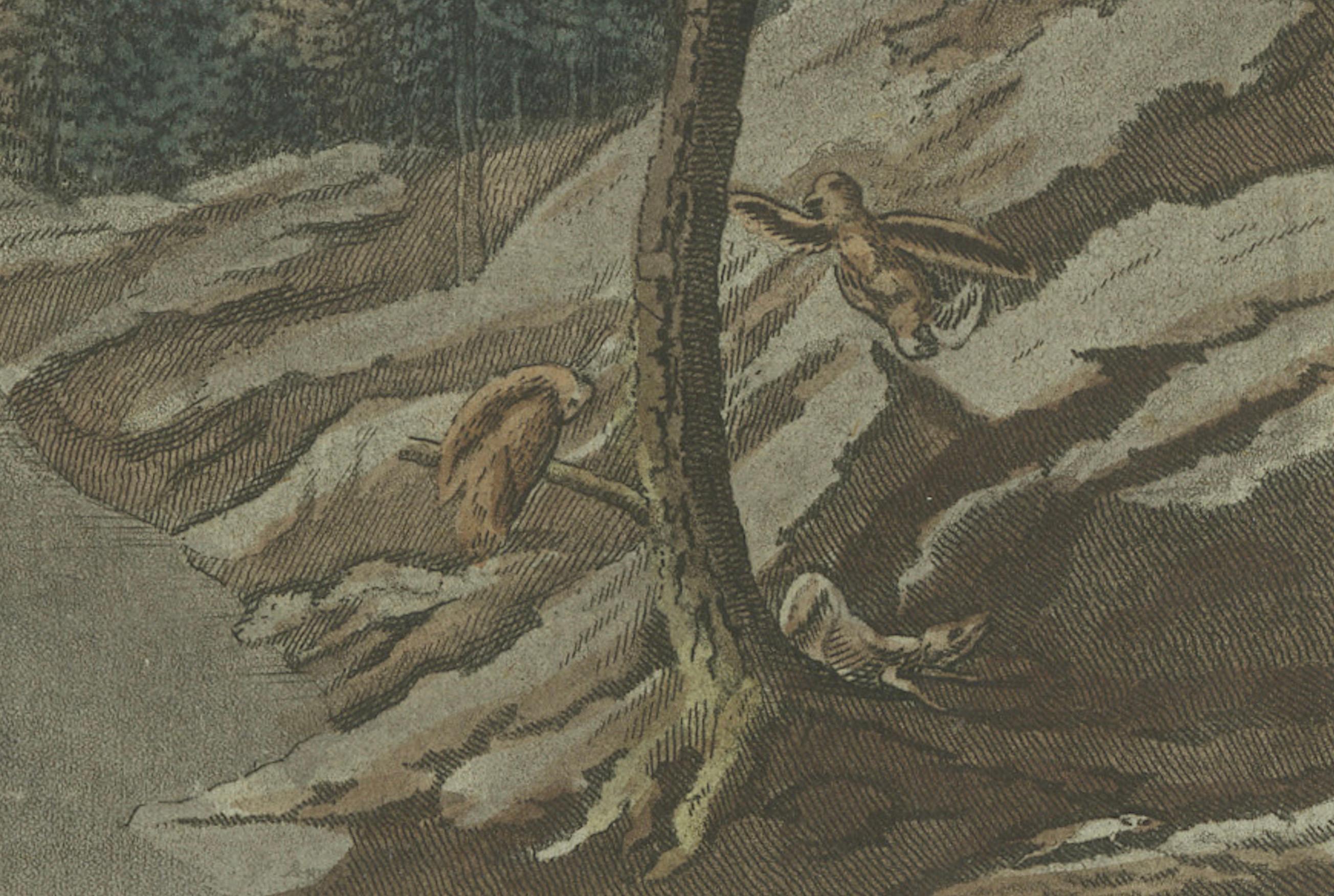 Engraved Dramatic Landscapes: Aurora Borealis in a Forest and Rugged Coastal Cliffs, 1805 For Sale