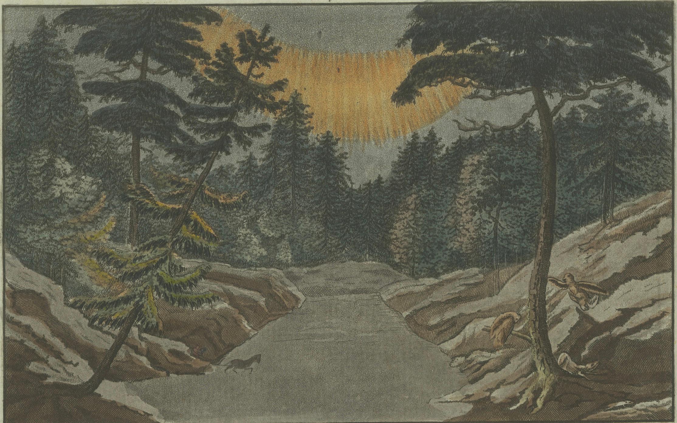 Dramatic Landscapes: Aurora Borealis in a Forest and Rugged Coastal Cliffs, 1805 In Good Condition For Sale In Langweer, NL