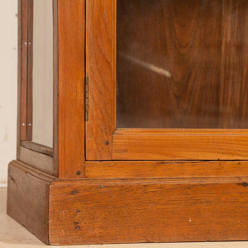 Dramatic Large Antique Glass and Pine Bookcase Display Cabinet in Three Sections 2