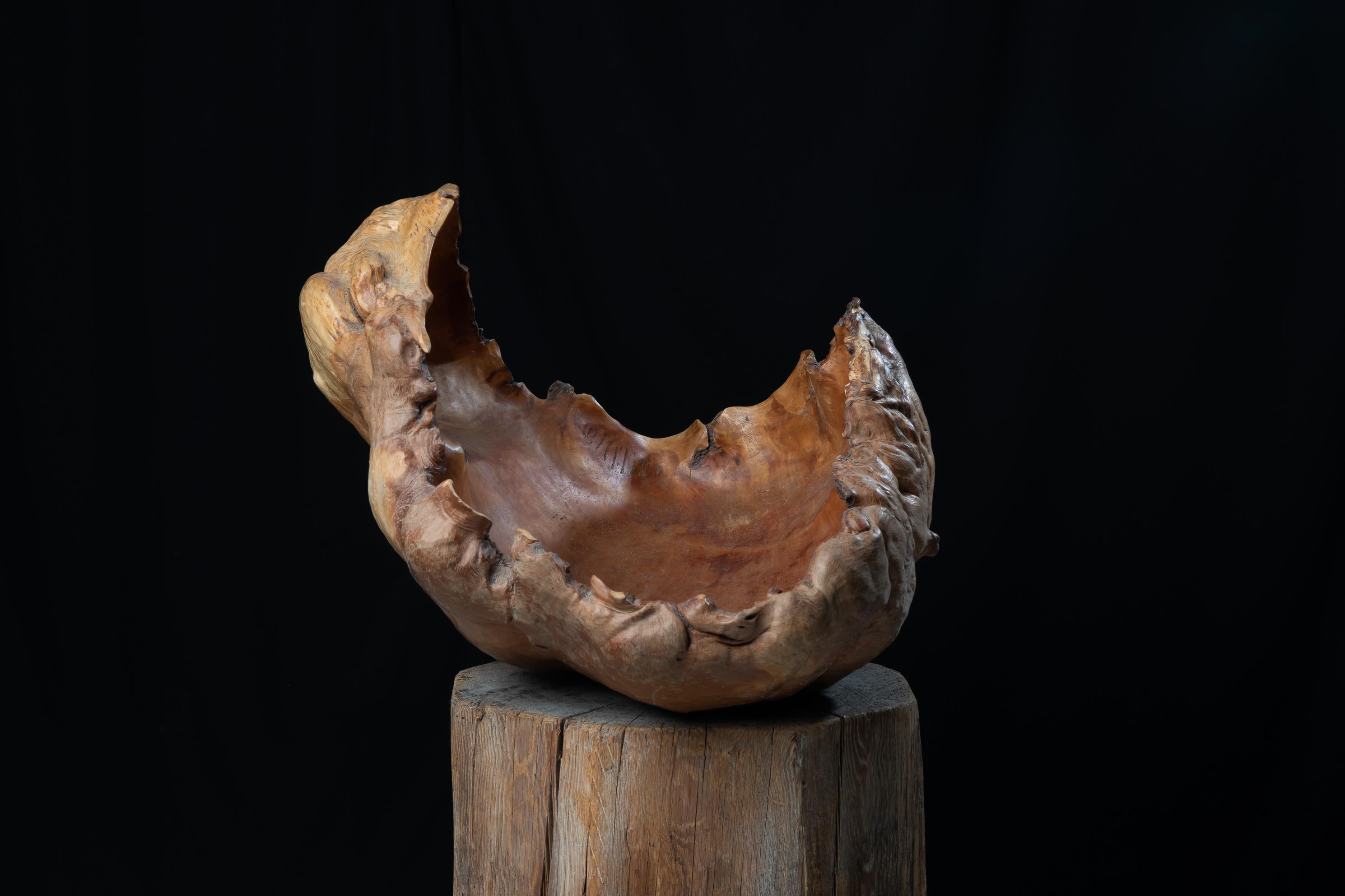 Large unusual wood bowl with an organic shape just as nature made it. The bowl is a hollowed piece of wood that’s been made from one single piece. There are no man-made joints or glued sections. Dated 1978.
  