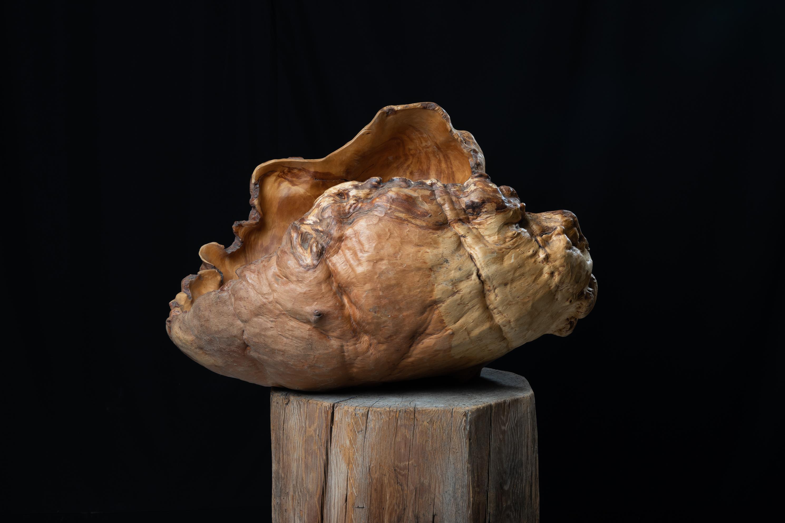 Rustic Dramatic Large Unusual Swedish Wood Bowl For Sale
