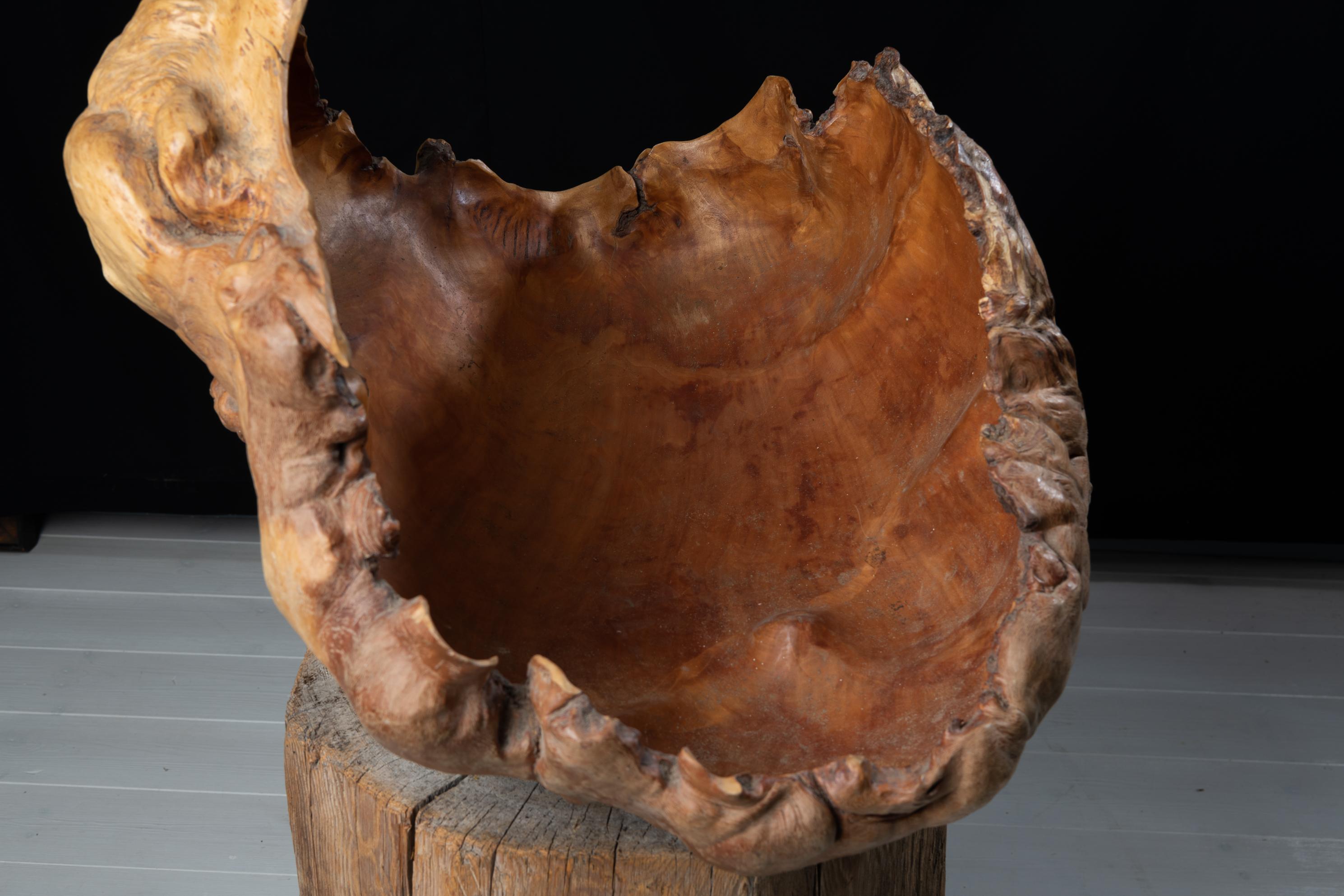 Dramatic Large Unusual Swedish Wood Bowl For Sale 1