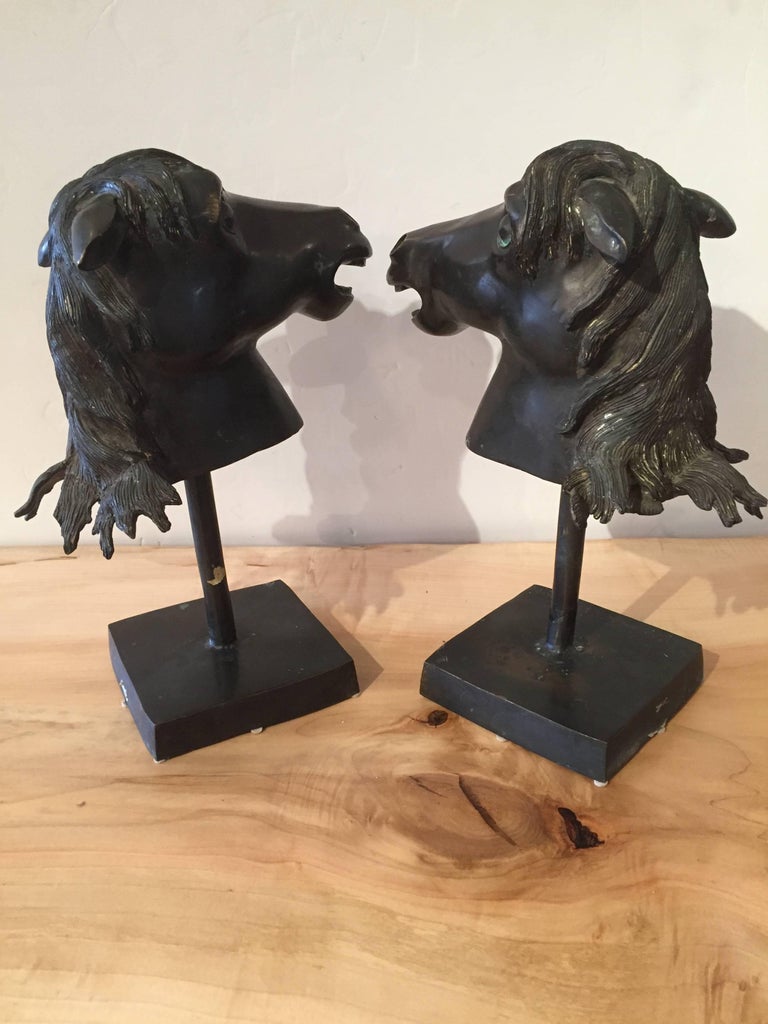 Dramatic Pair of Bronze Horse Head Bust Sculptures For Sale at 1stdibs