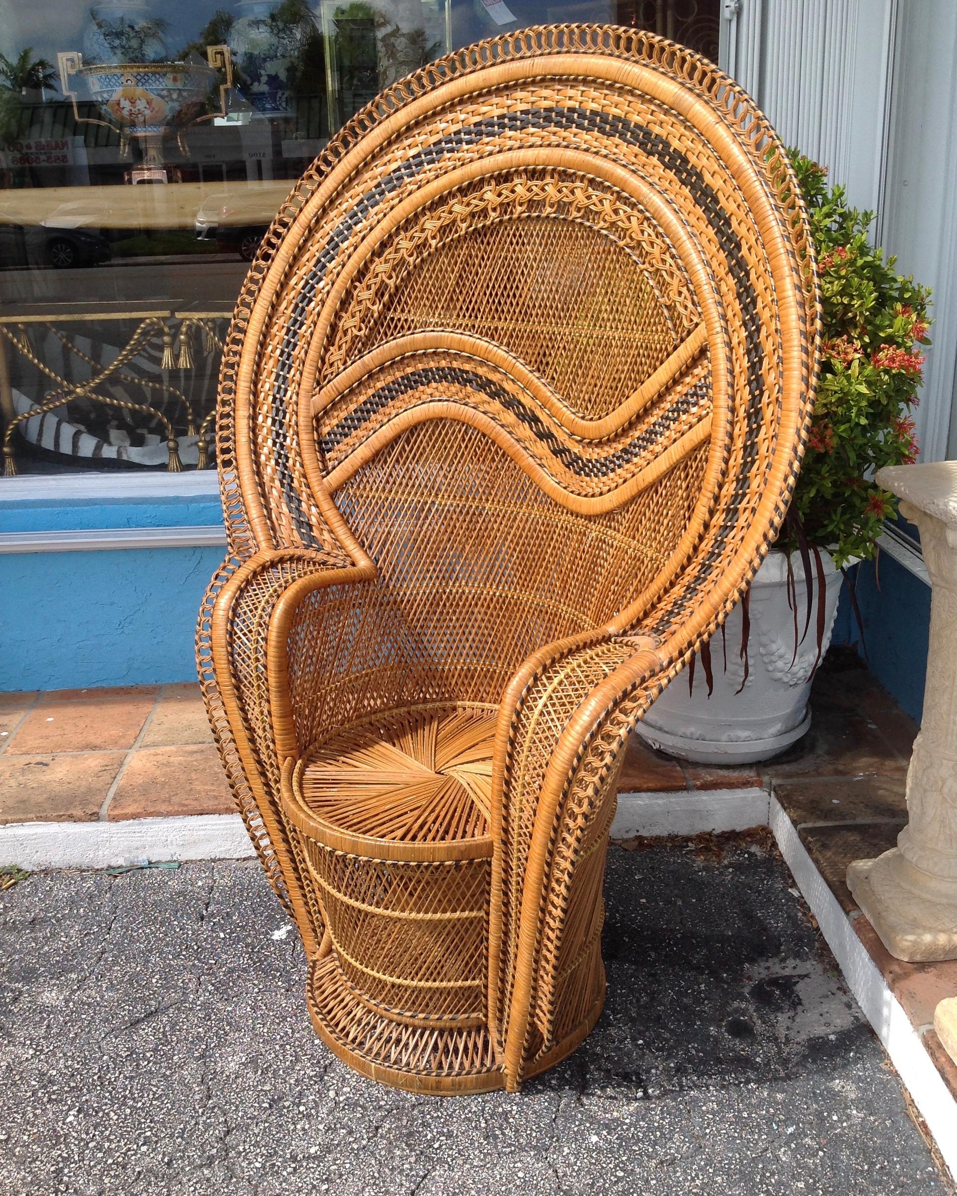 Dramatic Peacock Chair 3