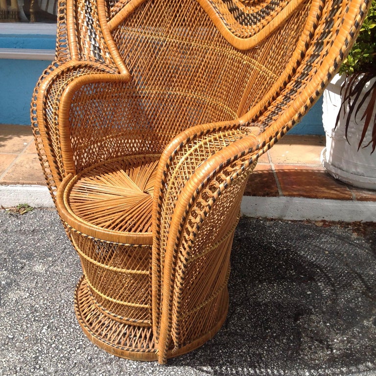 Dramatic Peacock Chair at 1stDibs