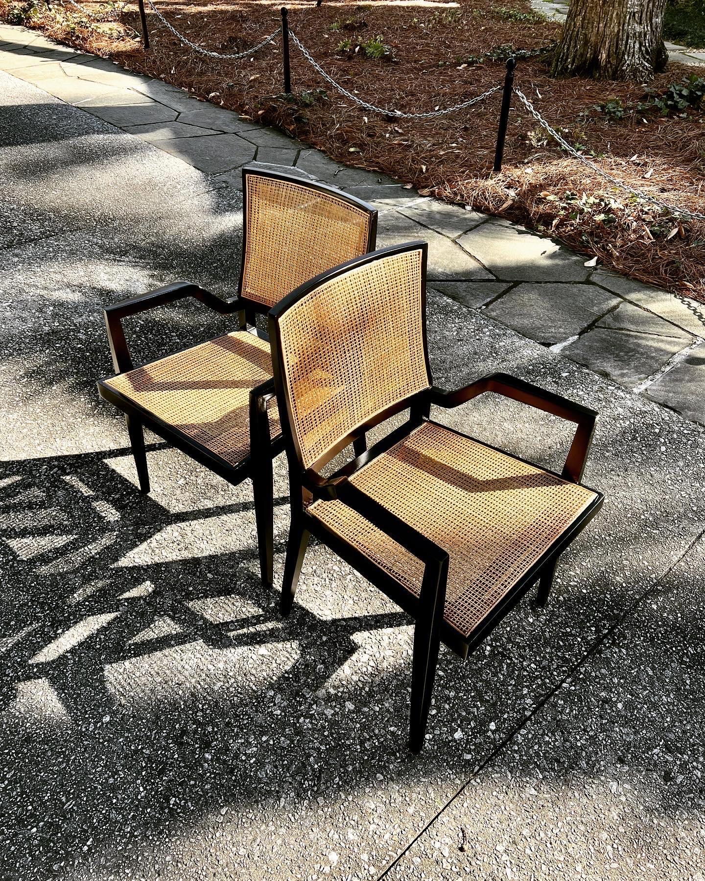 Dramatic Set of 20 Sophisticated Black Lacquer Cane Arm Chairs by Michael Taylor For Sale 11