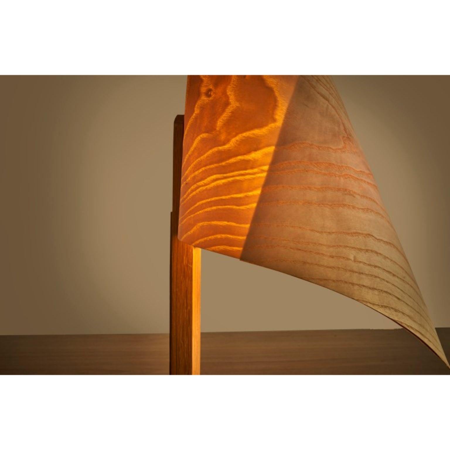 Modern Drapé Lamp by Jean-Baptiste Van Den Heede For Sale