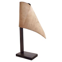 Lampada Drapé di Jean-Baptiste Jean Den Heede