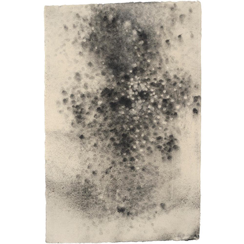 Paul de Pignol wurde 1965 in Toulouse geboren und studierte an der Ecole Nationale Supérieure des Beaux-Arts in Paris im Studio des Malers Pierre Carron. Er lebt und arbeitet zwischen Paris und Montigny-sur-Loing.

Seine erste Skulptur 