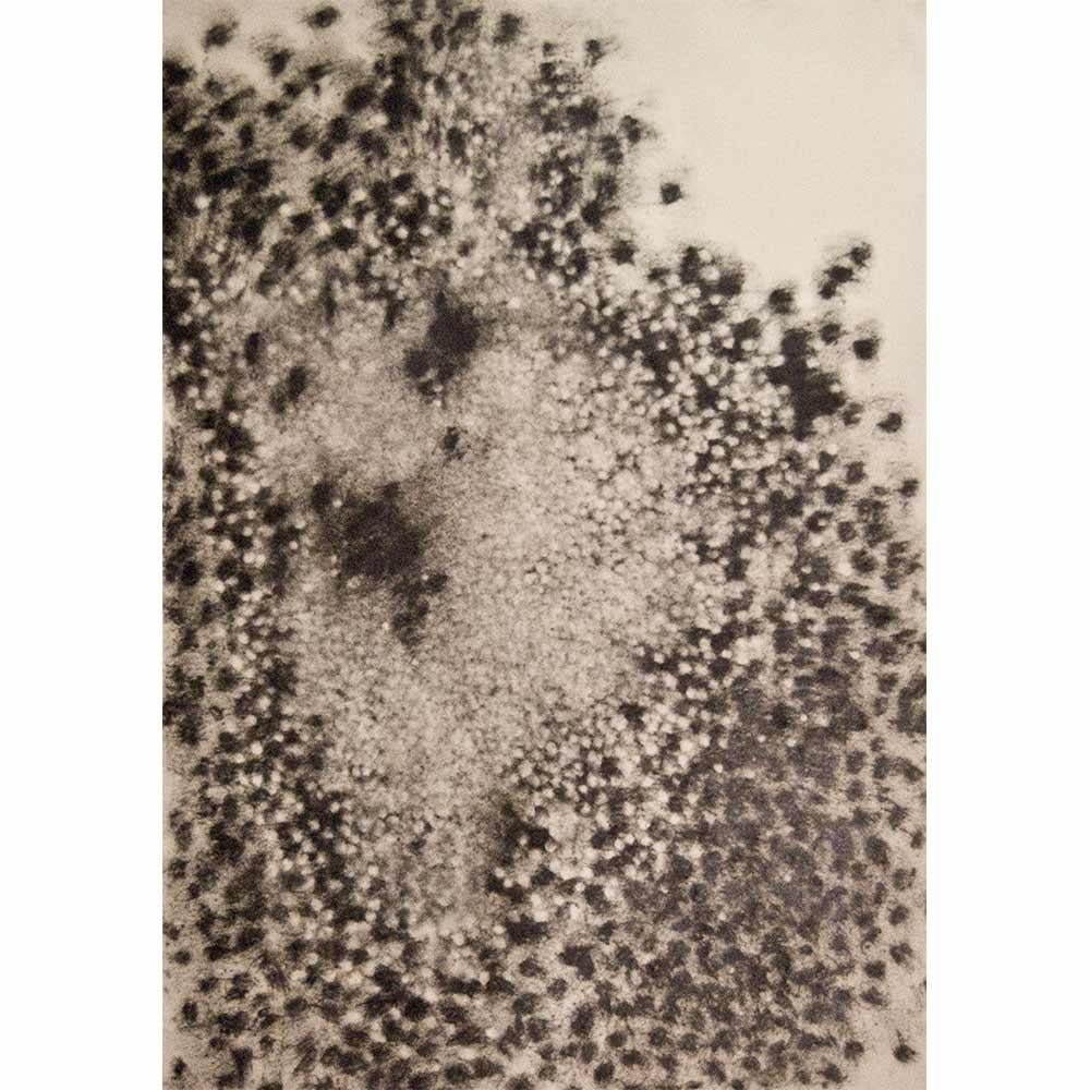 Paul de Pignol wurde 1965 in Toulouse geboren und studierte an der Ecole Nationale Supérieure des Beaux-Arts in Paris im Studio des Malers Pierre Carron. Er lebt und arbeitet zwischen Paris und Montigny-sur-Loing.

Seine erste Skulptur 