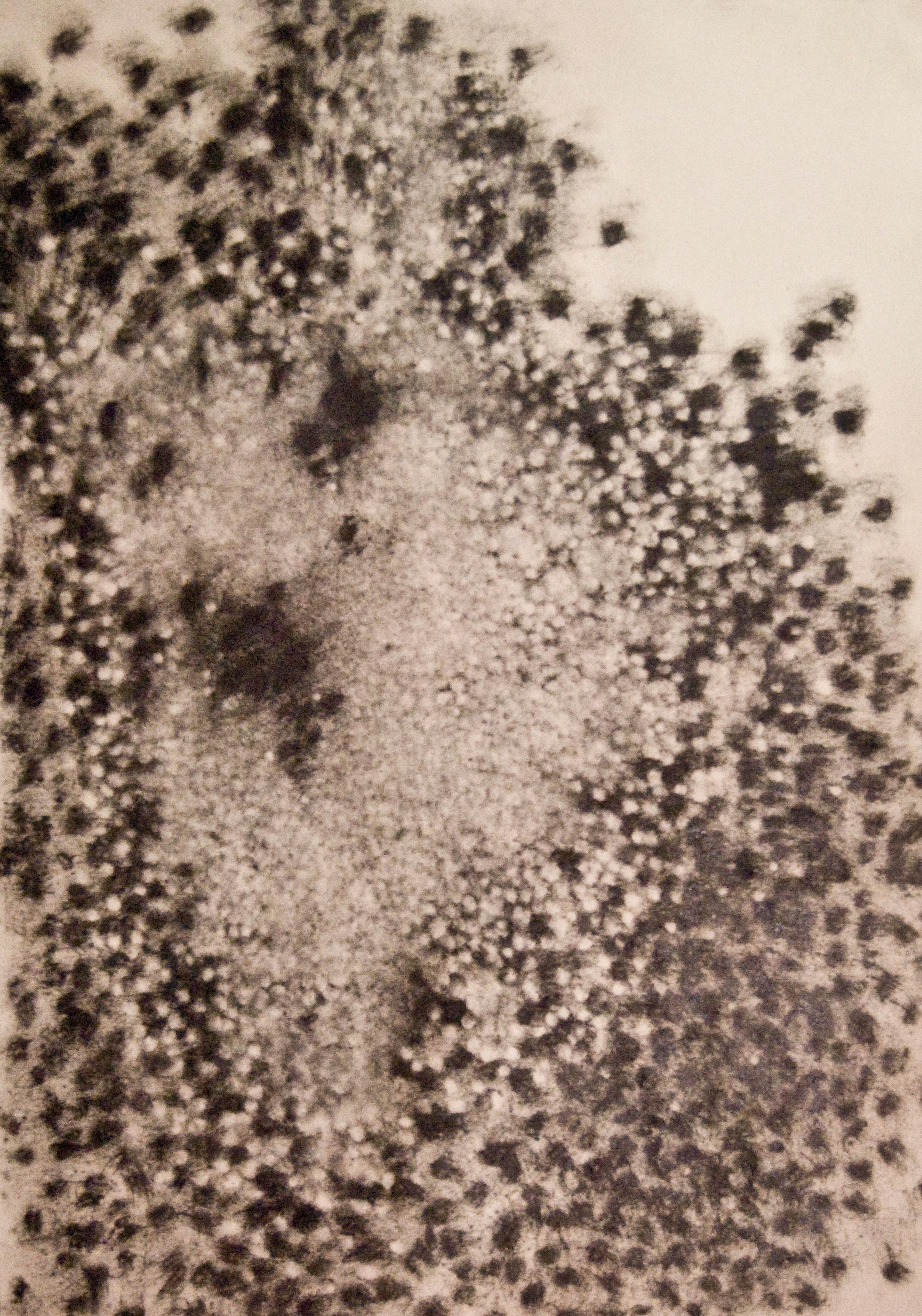 Zeichnung an Holzkohle „Figure d'Etoile“ Paul de Pignol, 2013 im Angebot 2