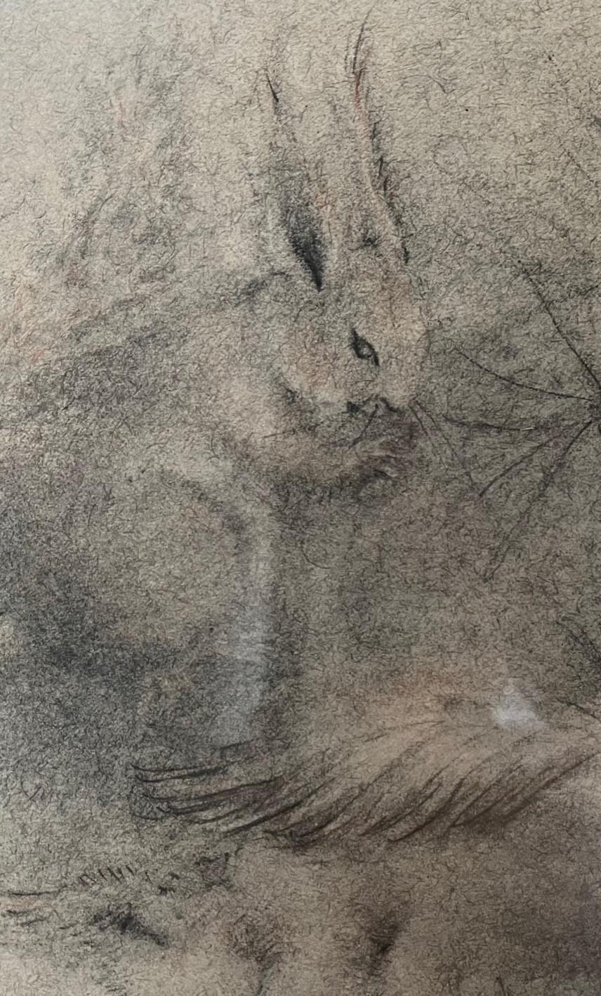European red Squirrels 

Inscribed indistinctly and dated 40 (lr) 

Black and red chalk on paper.