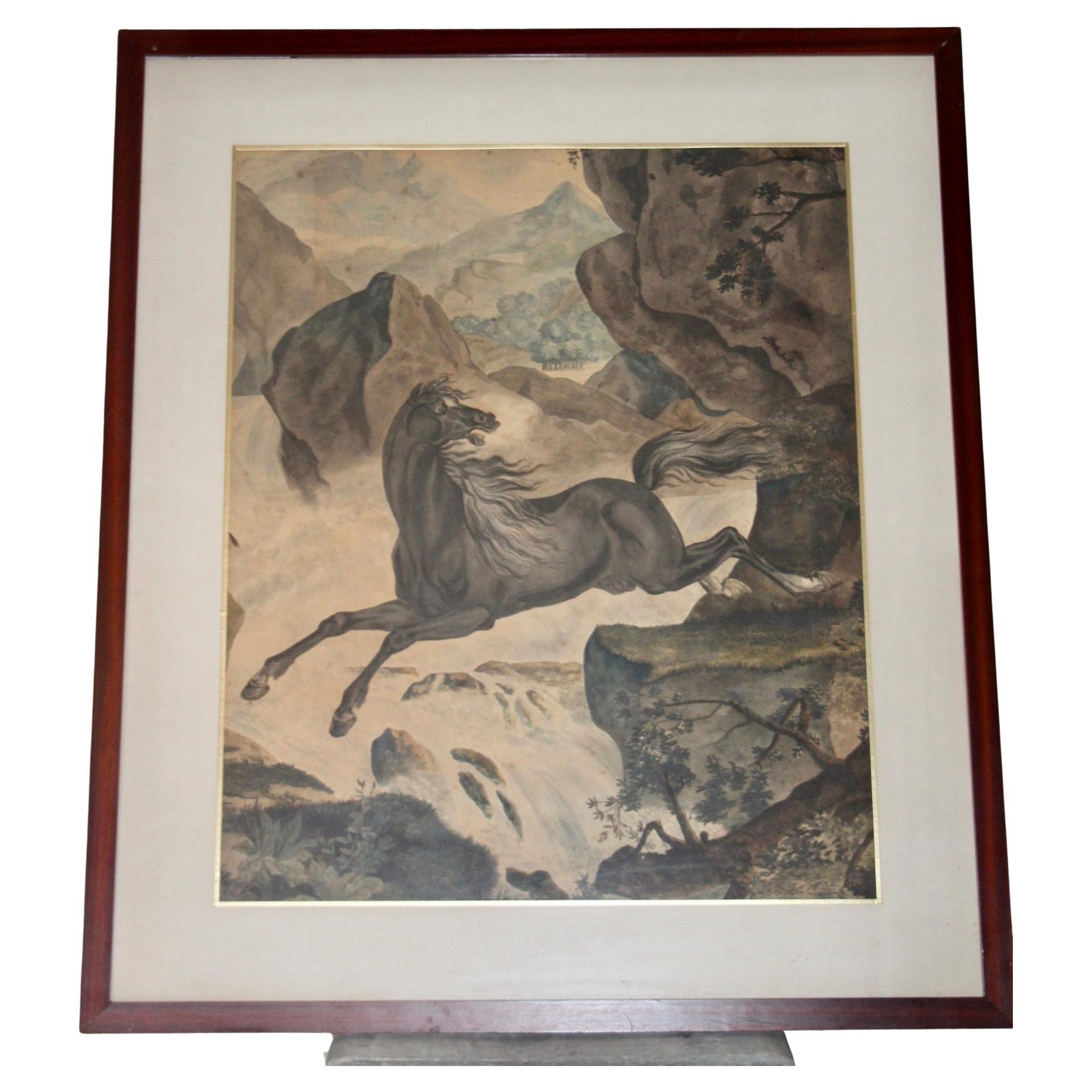 Drawing of a horse probably French