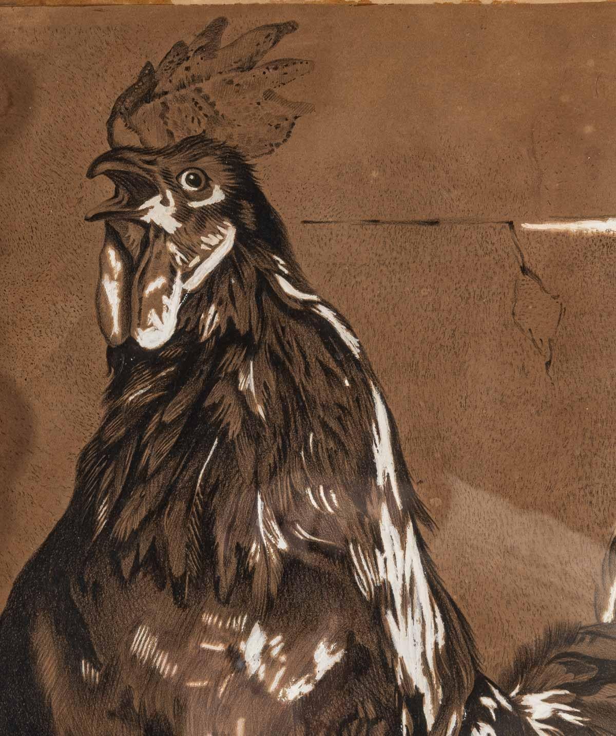 un dibujo de un gallo