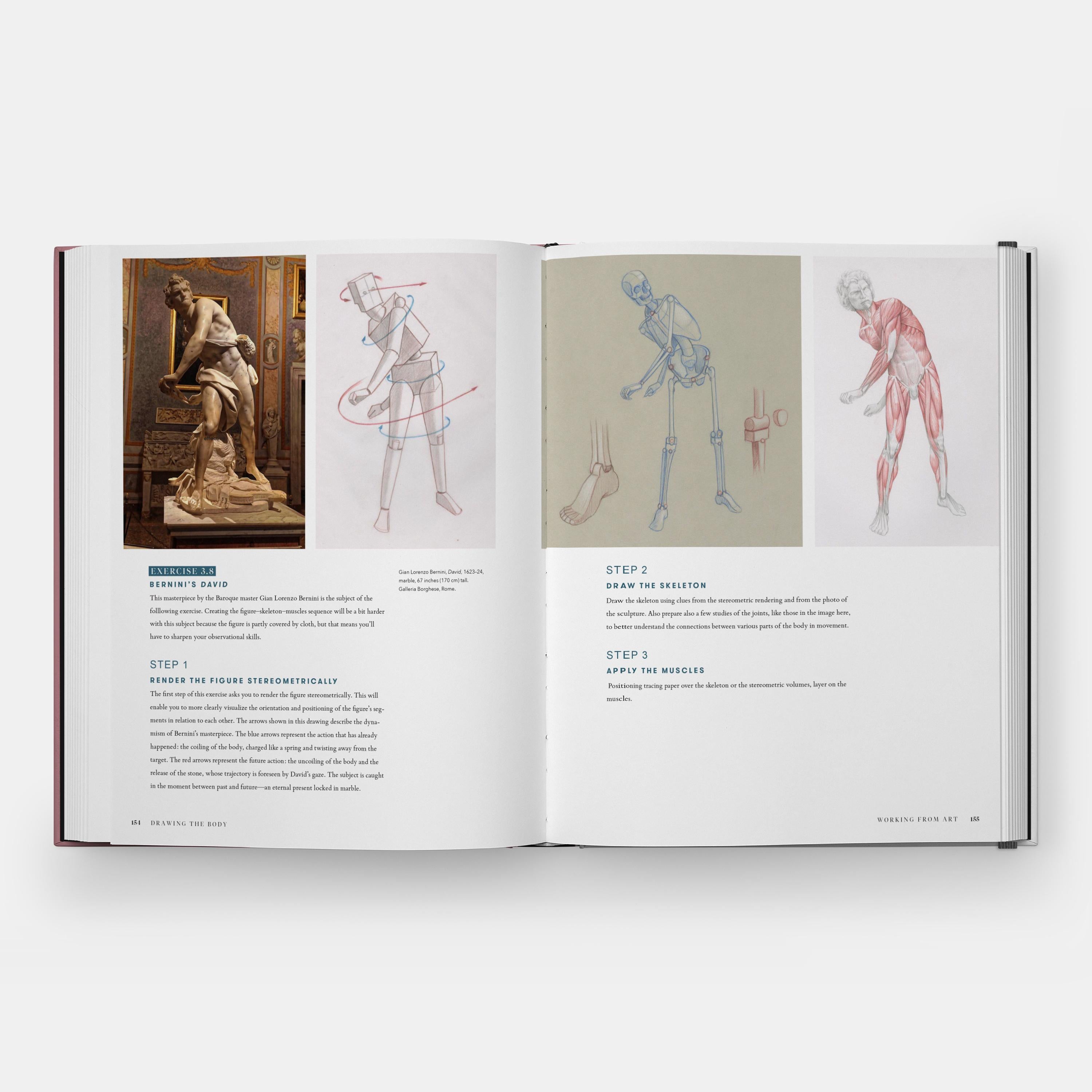 Paper Drawing the Body: Reading the Human Form in Art For Sale