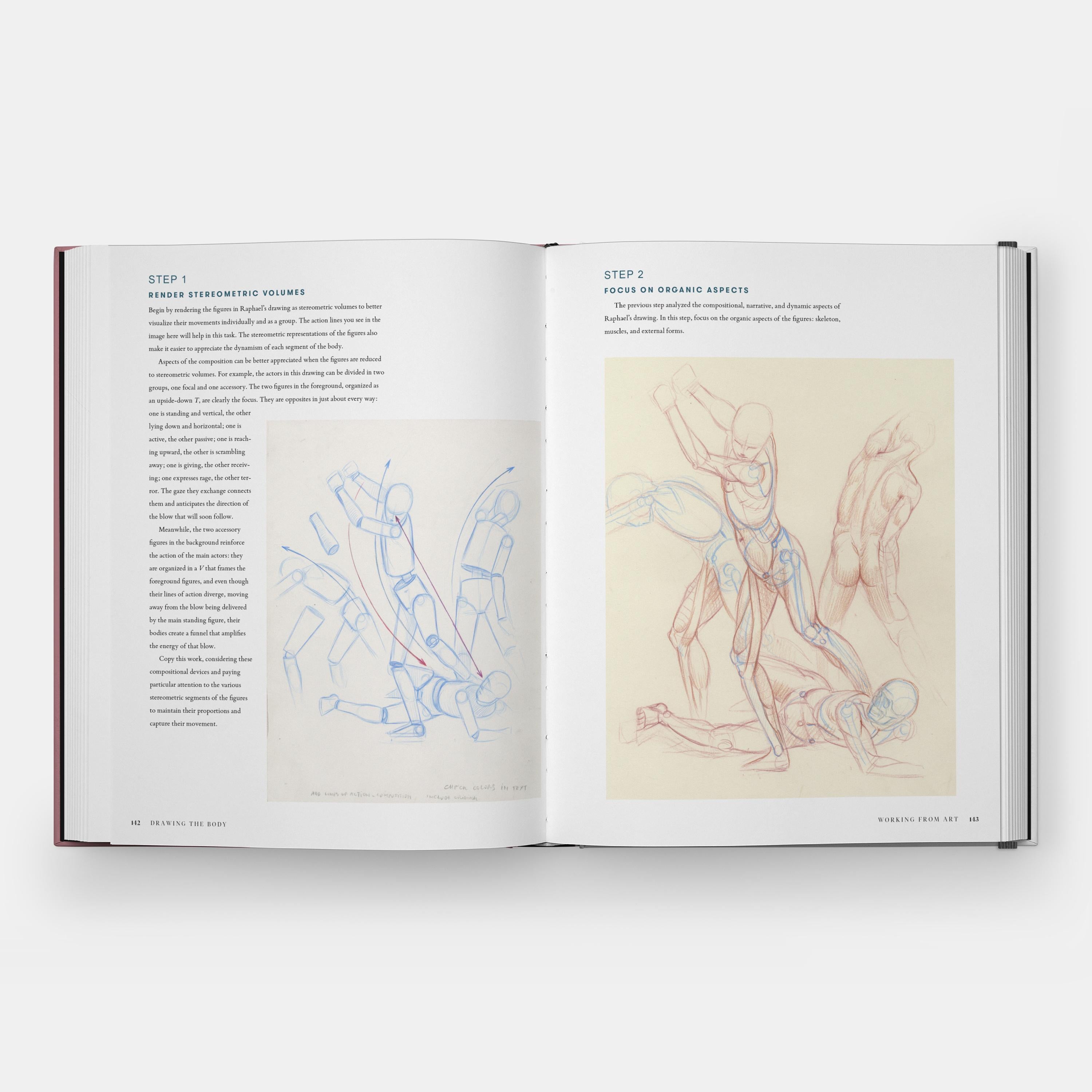 Drawing the Body: Reading the Human Form in Art For Sale 1