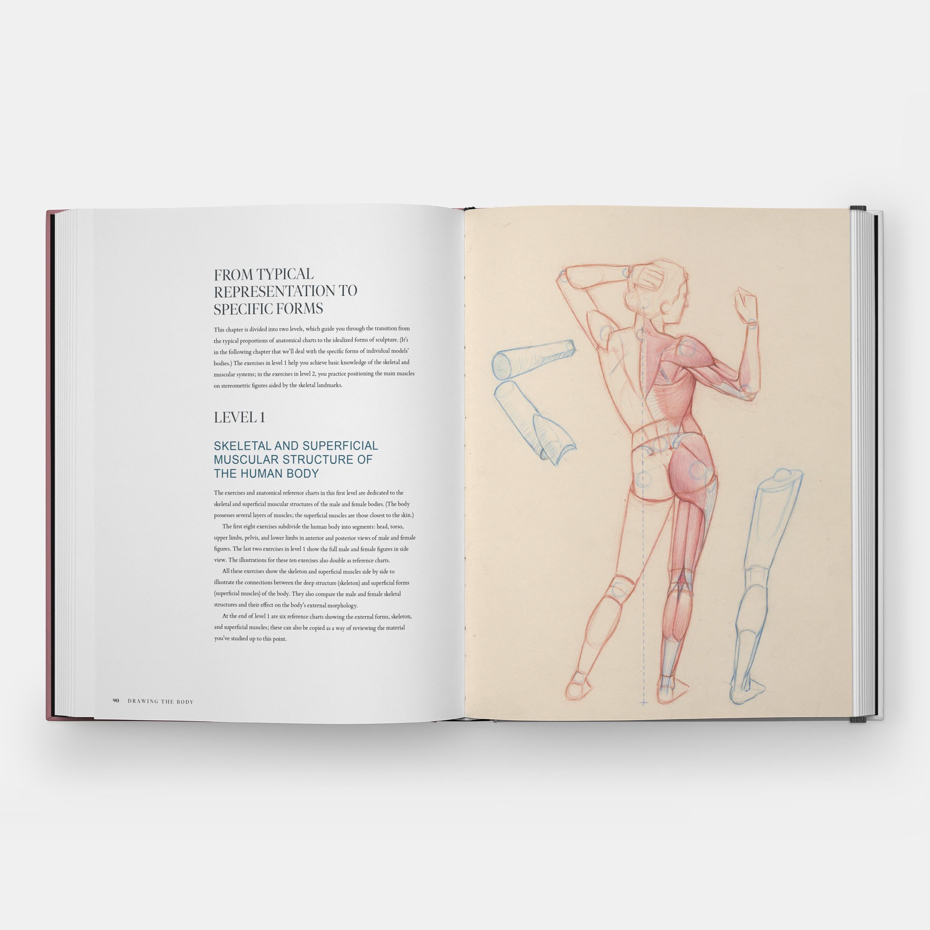 Drawing the Body: Reading the Human Form in Art For Sale 2