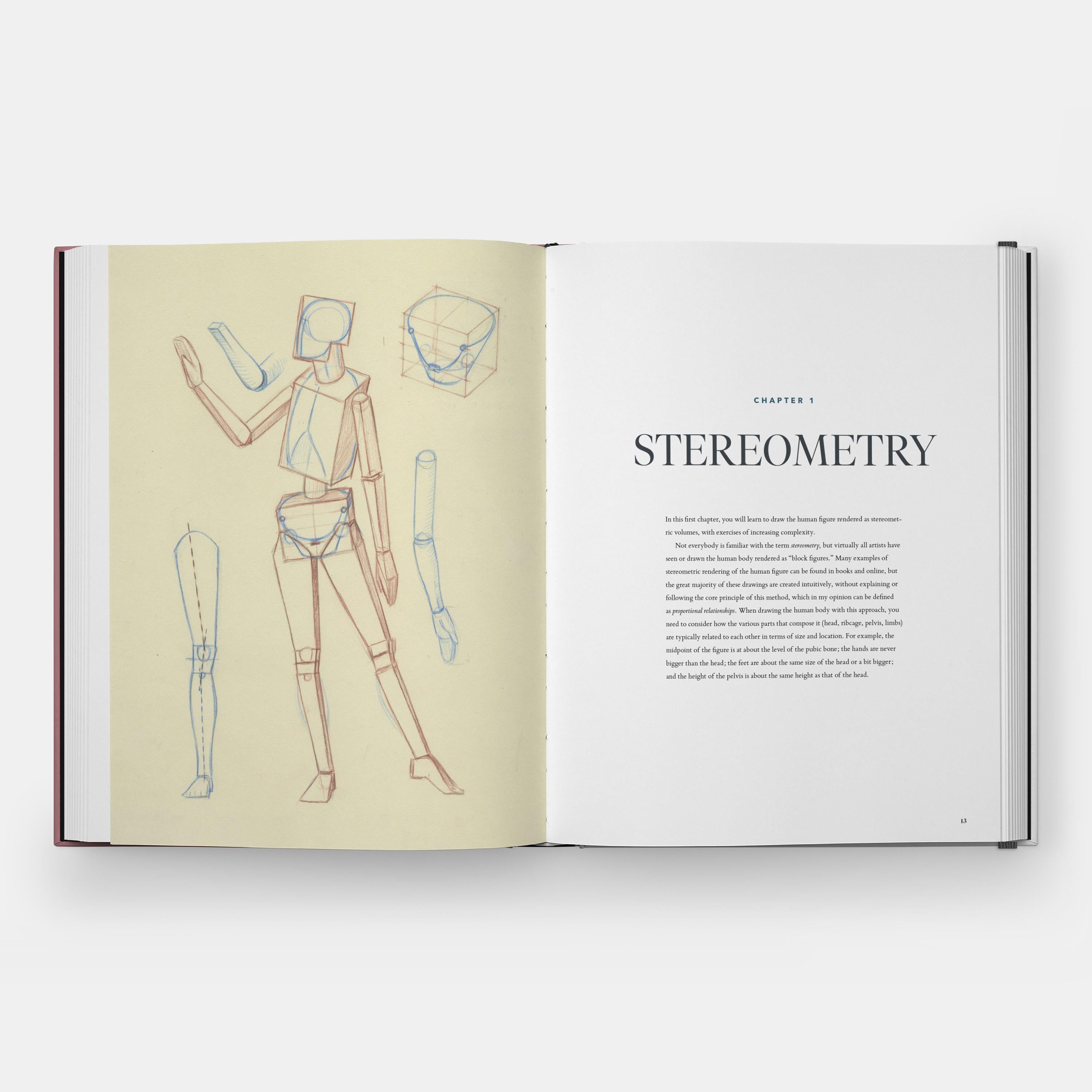 Drawing the Body: Reading the Human Form in Art For Sale 4