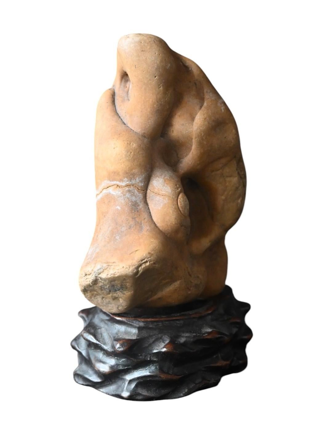 Stone dimensions: 11 × 8 cm, thickness 5.5 cm, height on base 13 cm
A natural dream stone (scholar's rock) with an organic and asymmetrical shape, pierced in its center, thus creating depth and visual play.
The stone has warm earthy hues, ranging