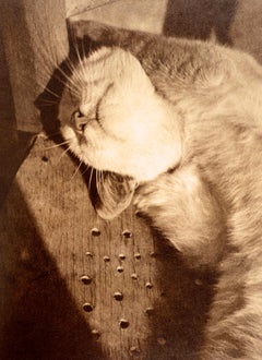 Dreaming in Black and White Photography at the Julien Levy Gallery, 1st Ed