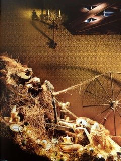 Dreams Through the Glass Windows from Bergdorf Goodman by Linda Fargo, 1st Ed