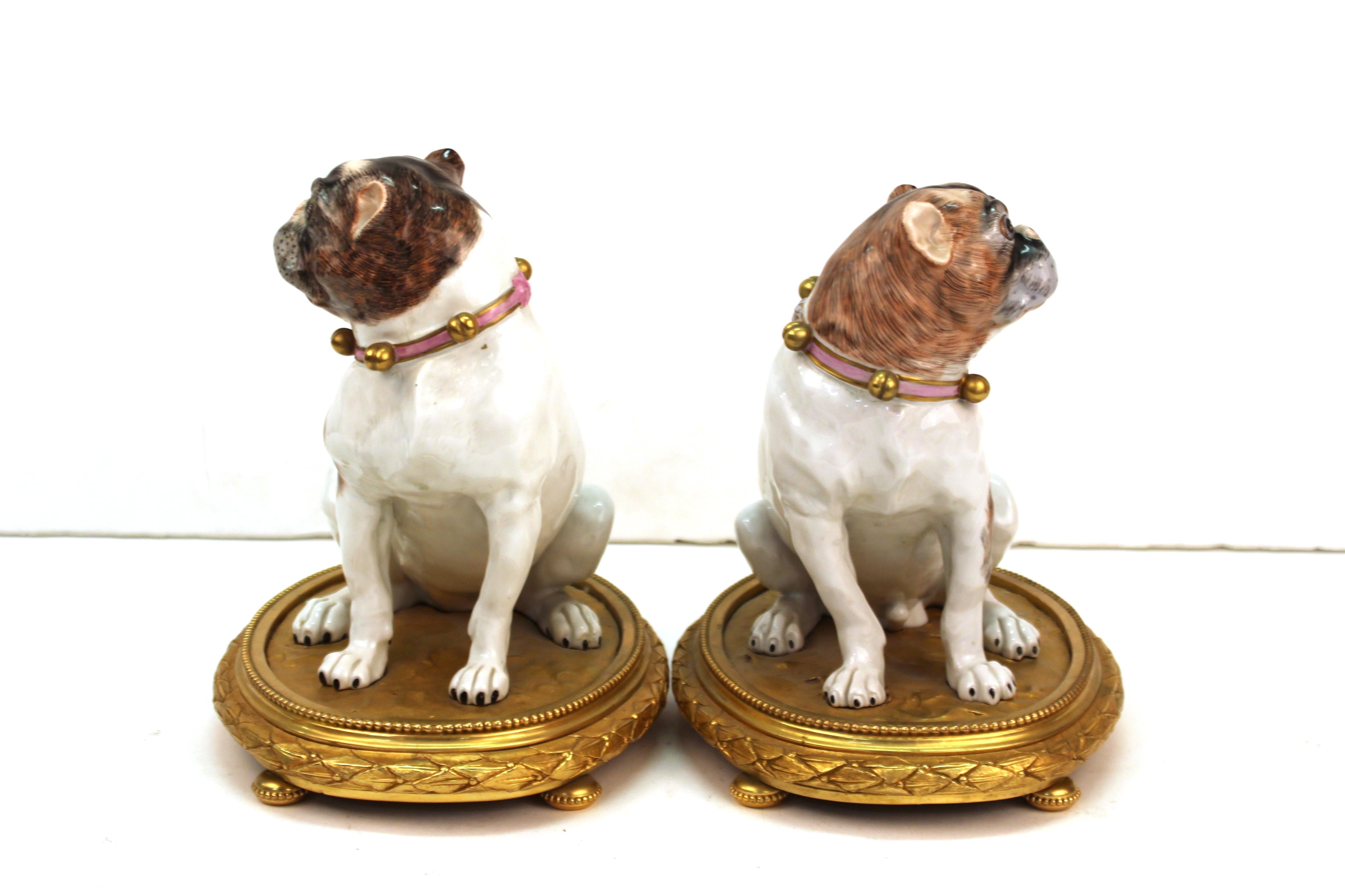 Dresden Porcelain Pug Dog Figures on Gilt Bronze Bases 1