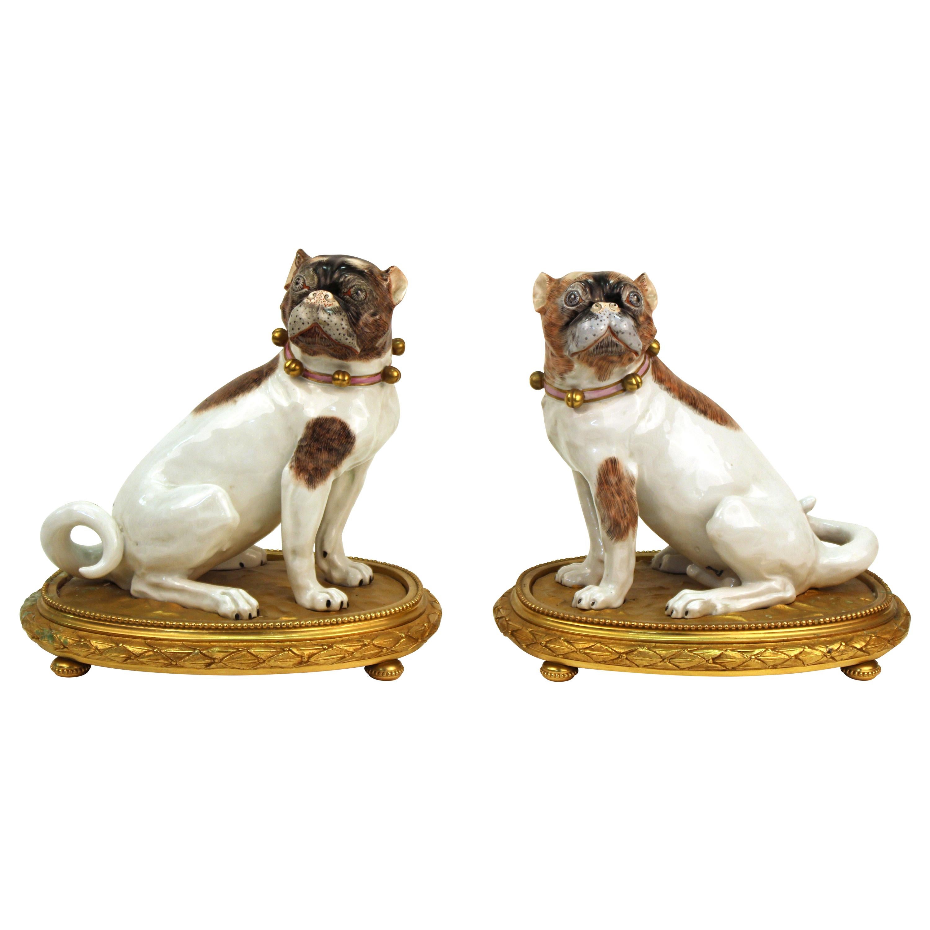 Dresden Porcelain Pug Dog Figures on Gilt Bronze Bases